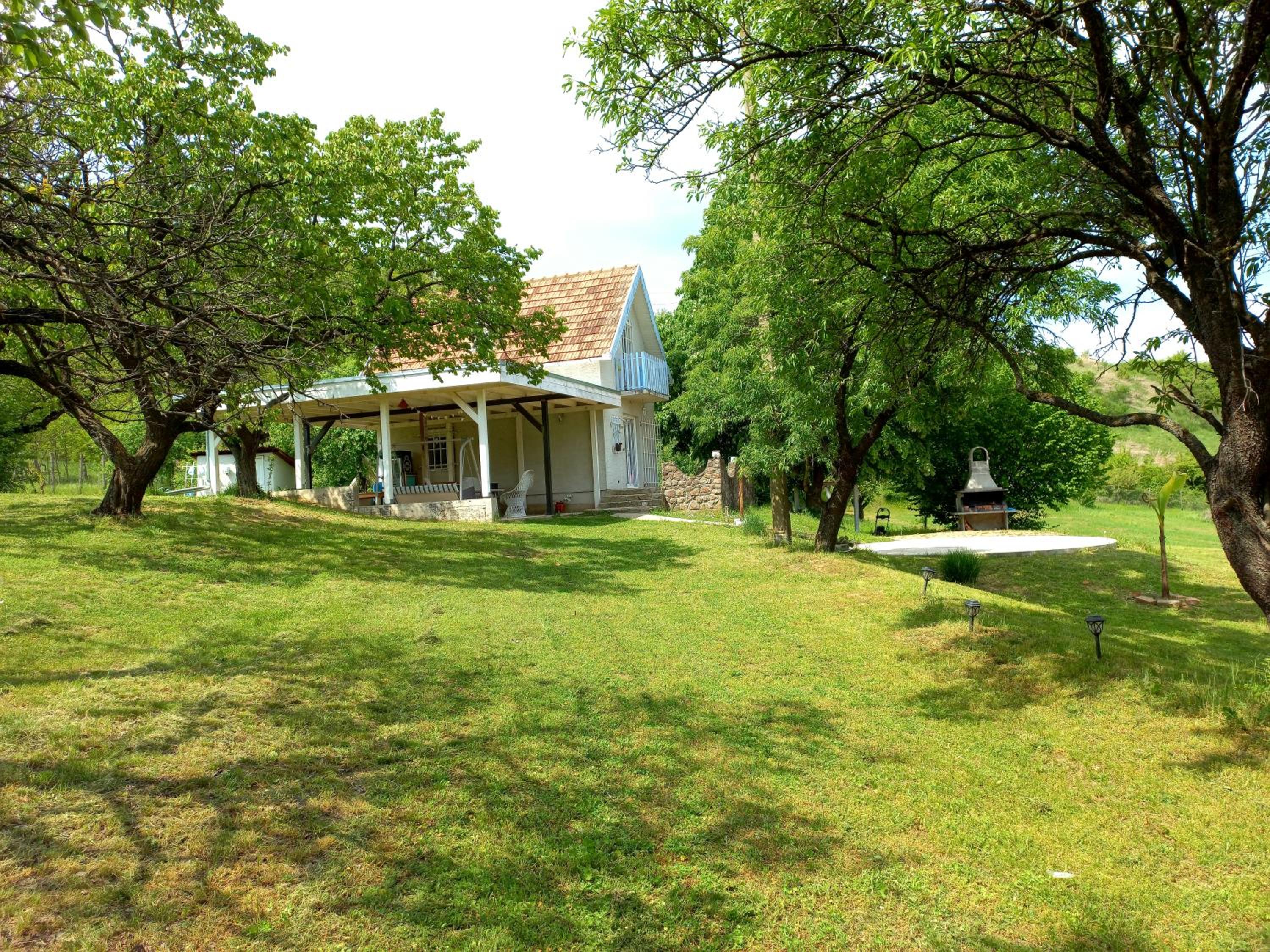 Photo 40