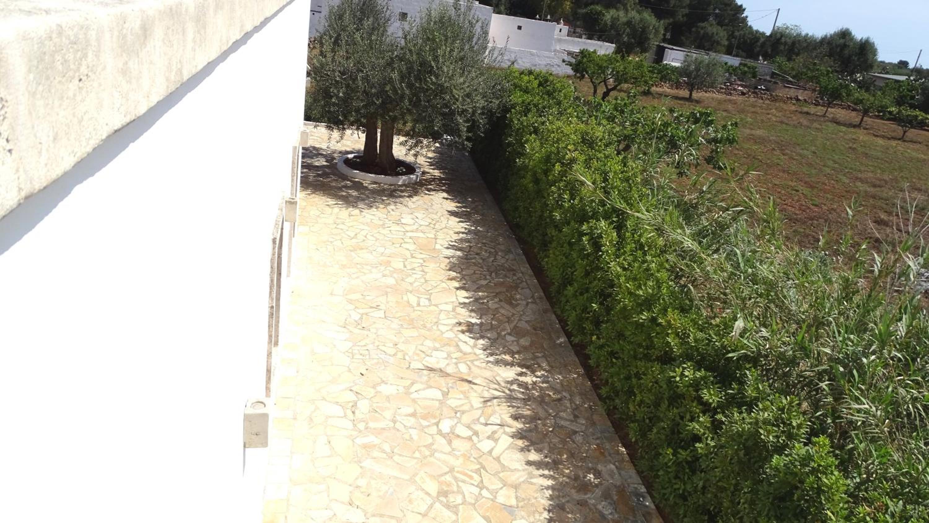 Photo 46