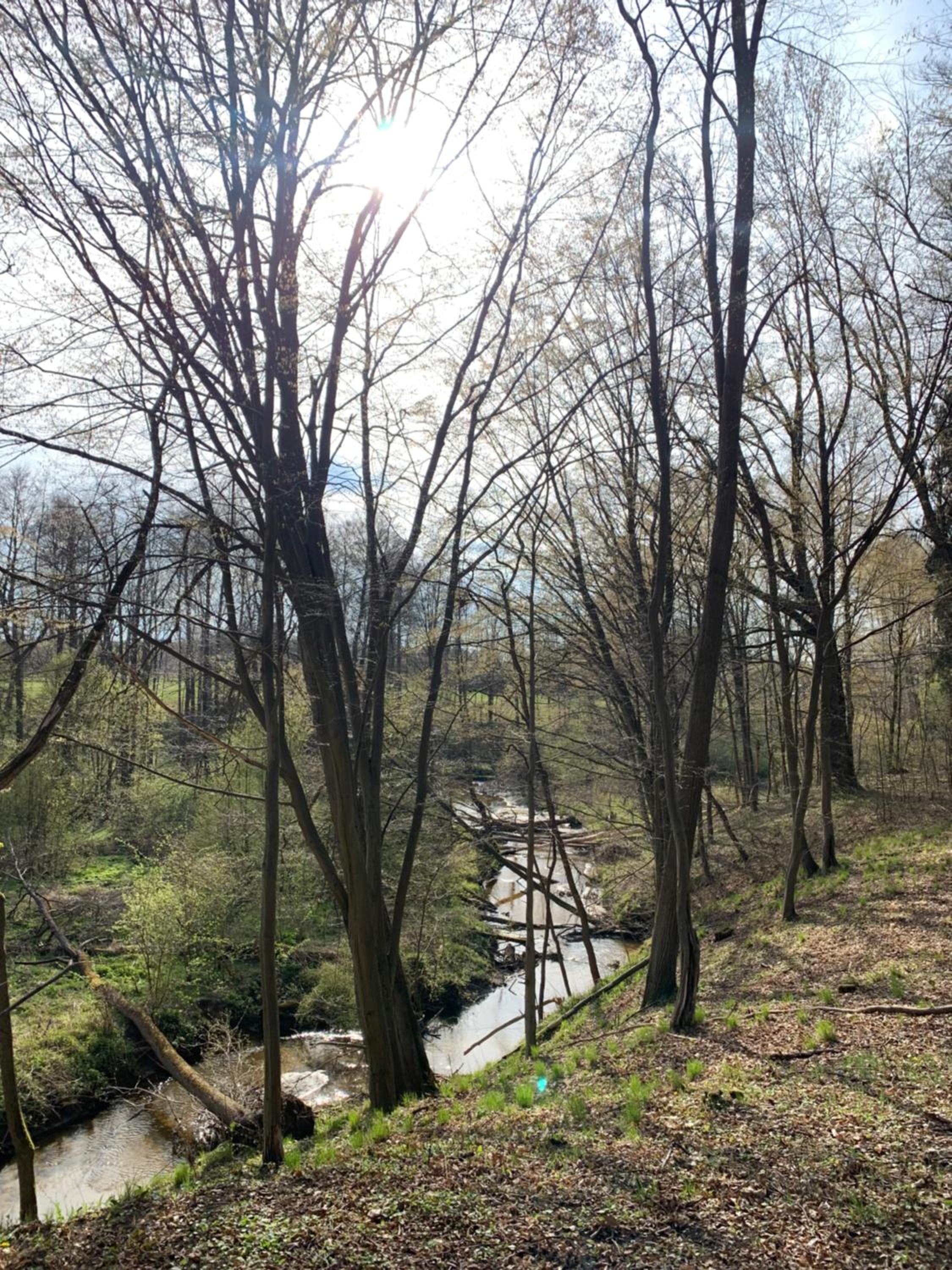 Ojcówek view 3