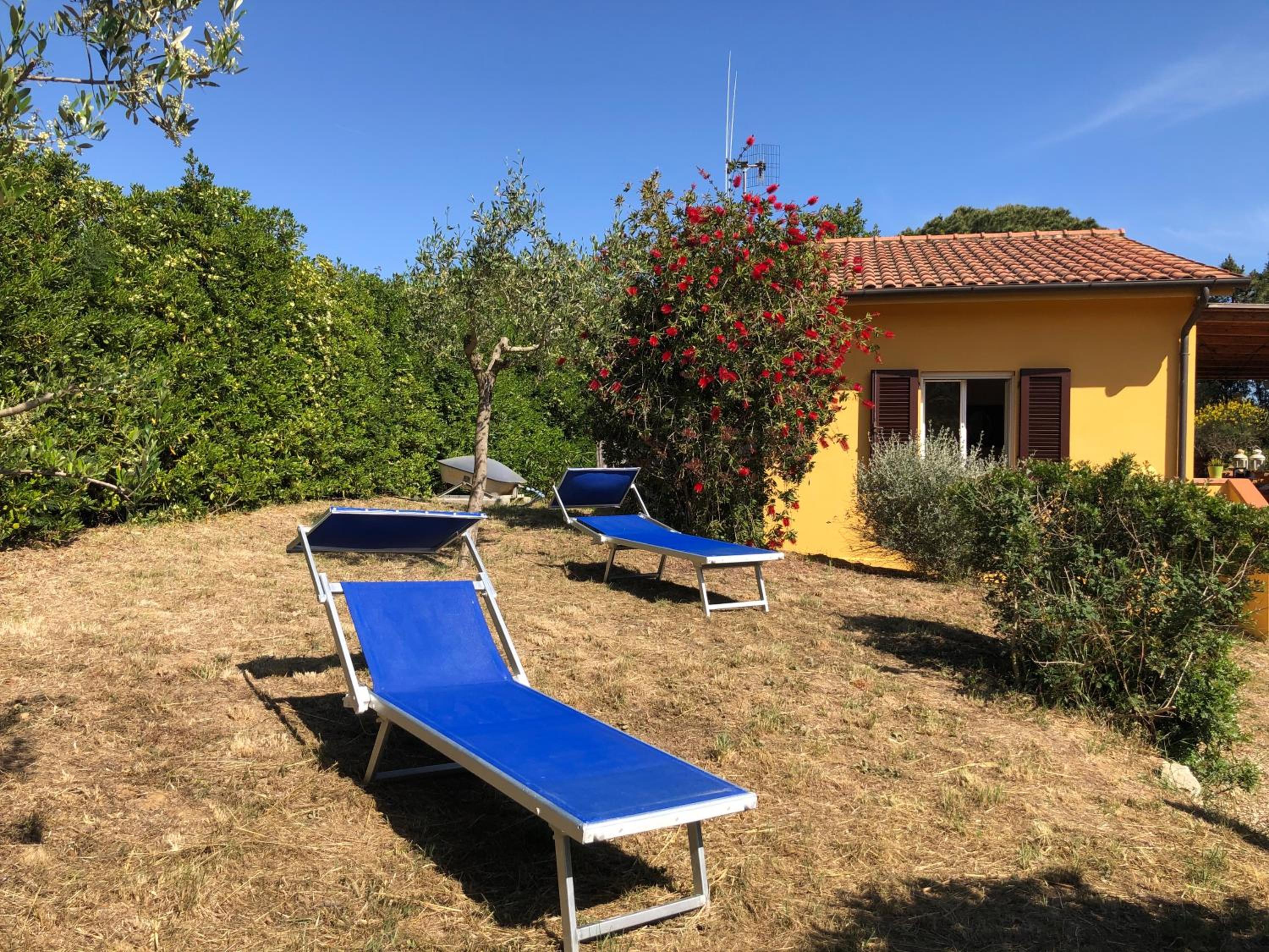 Photo 38
