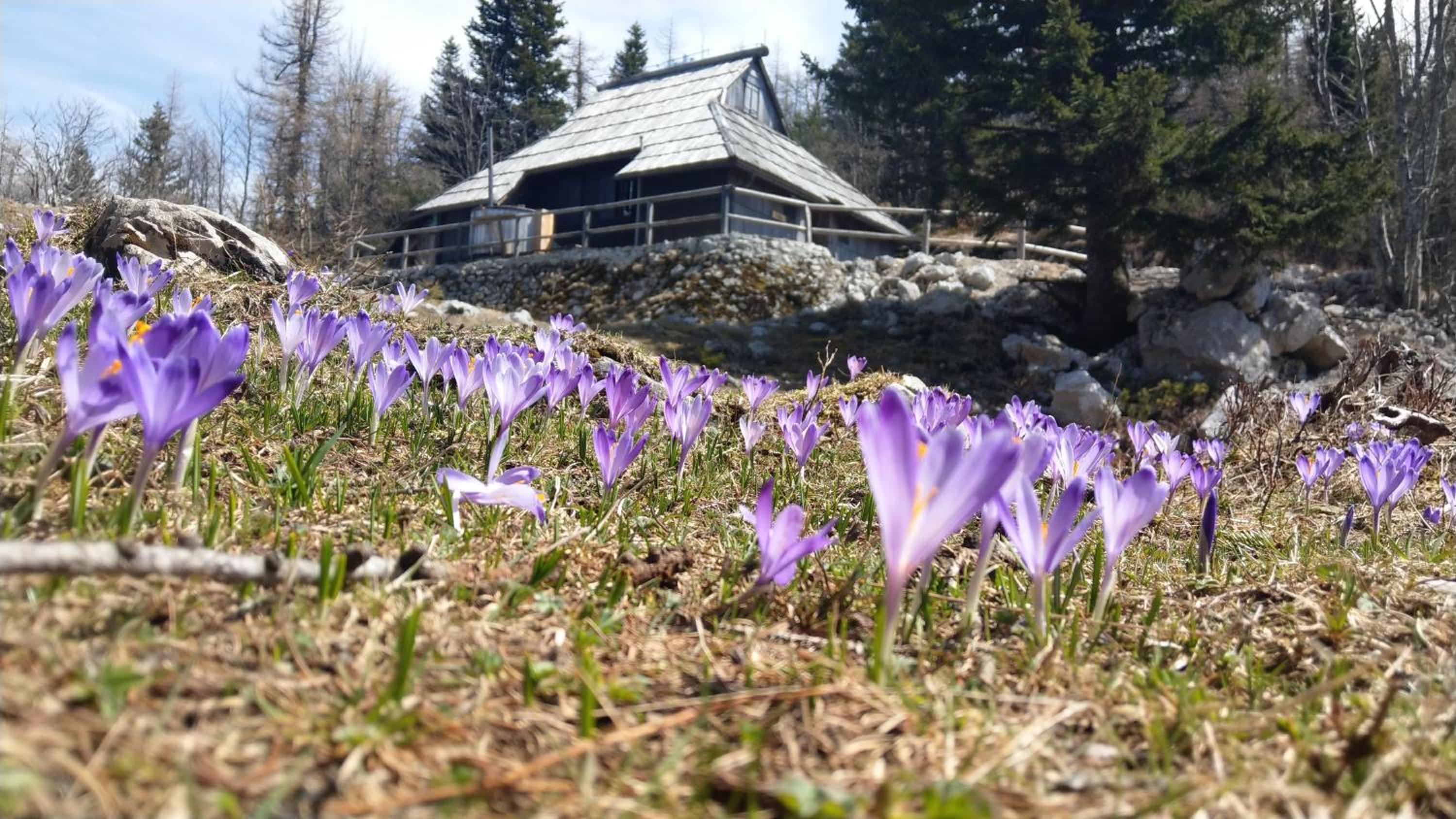 Chalet Pehta Velika Planina view 2