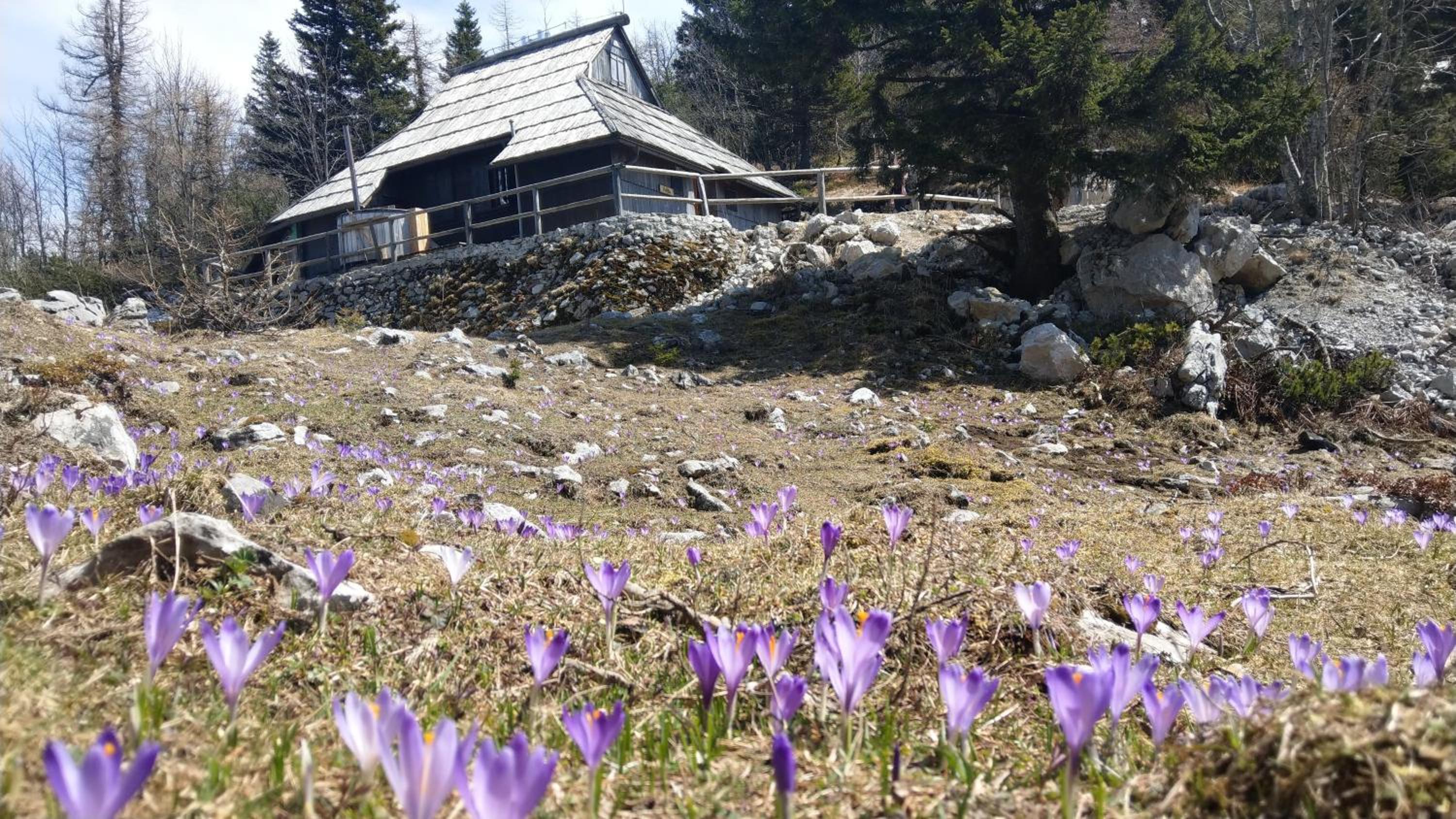 Chalet Pehta Velika Planina view 4