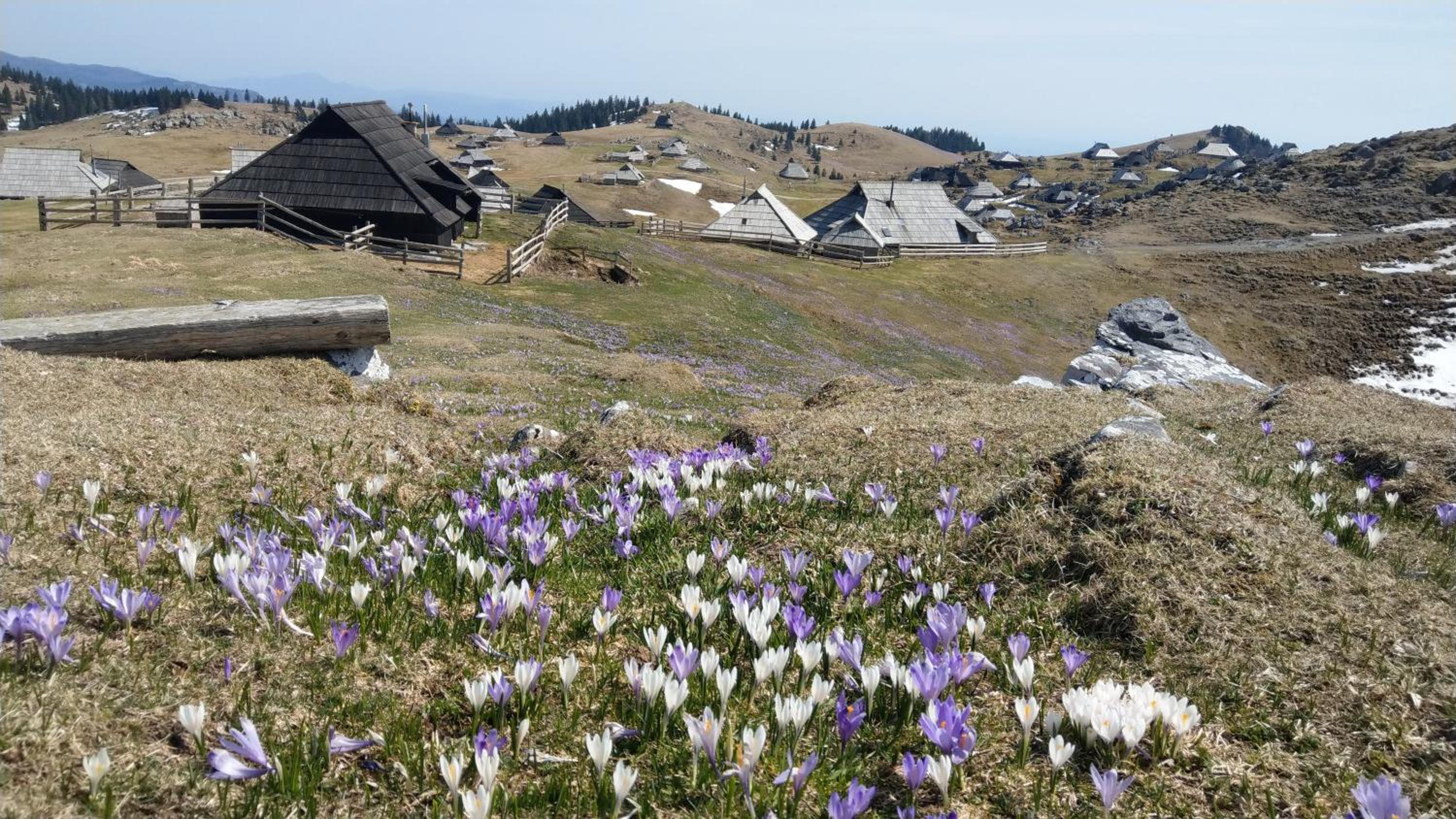 Chalet Pehta Velika Planina view 5