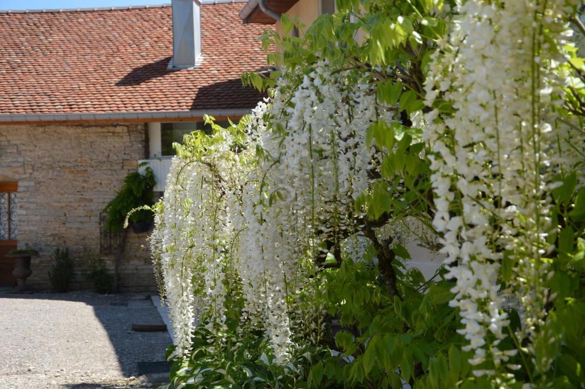 The Wisteria Farm view 2