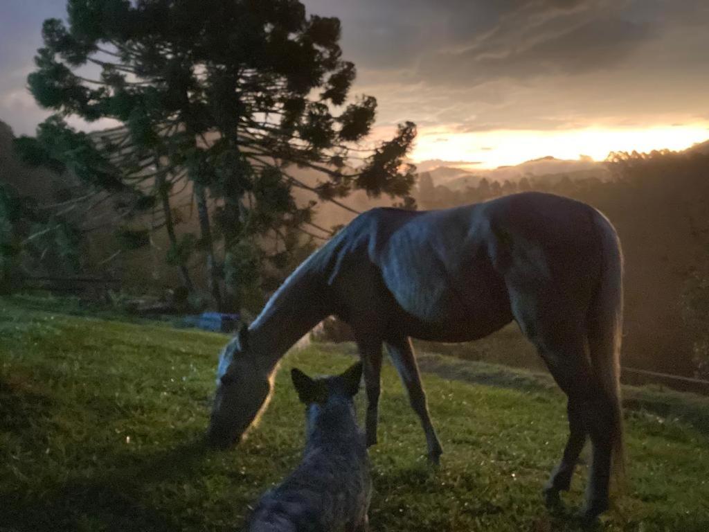 Chalé da Horseland BJ