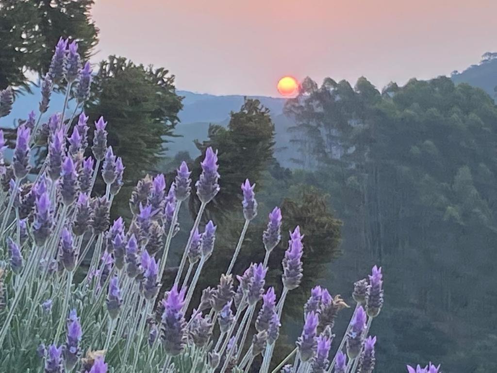 Chalé da Horseland BJ
