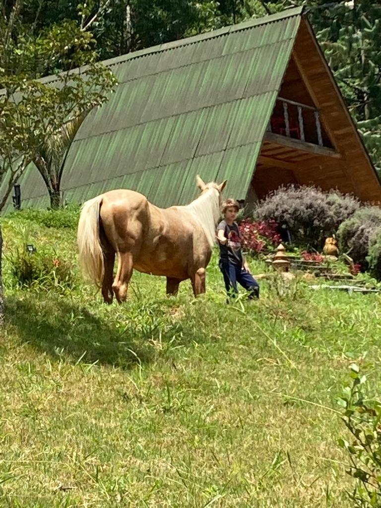 Chalé da Horseland BJ