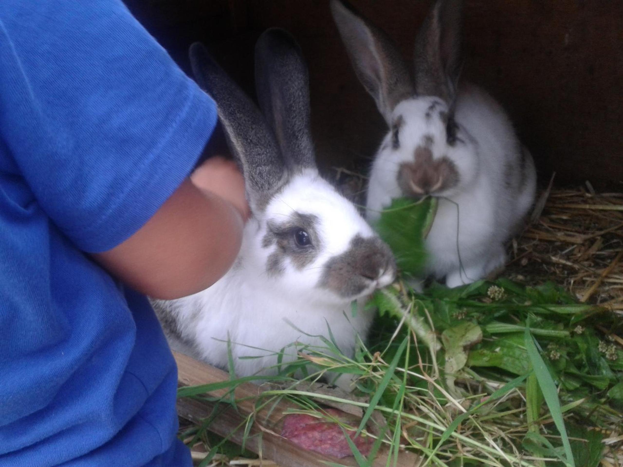 Photo 20