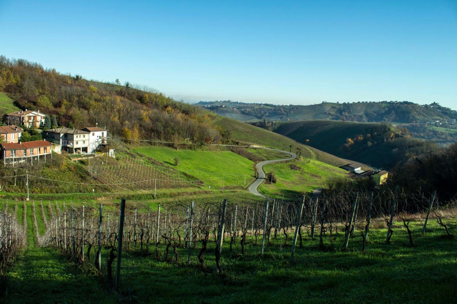 Agriturismo Casa Casoni view 2