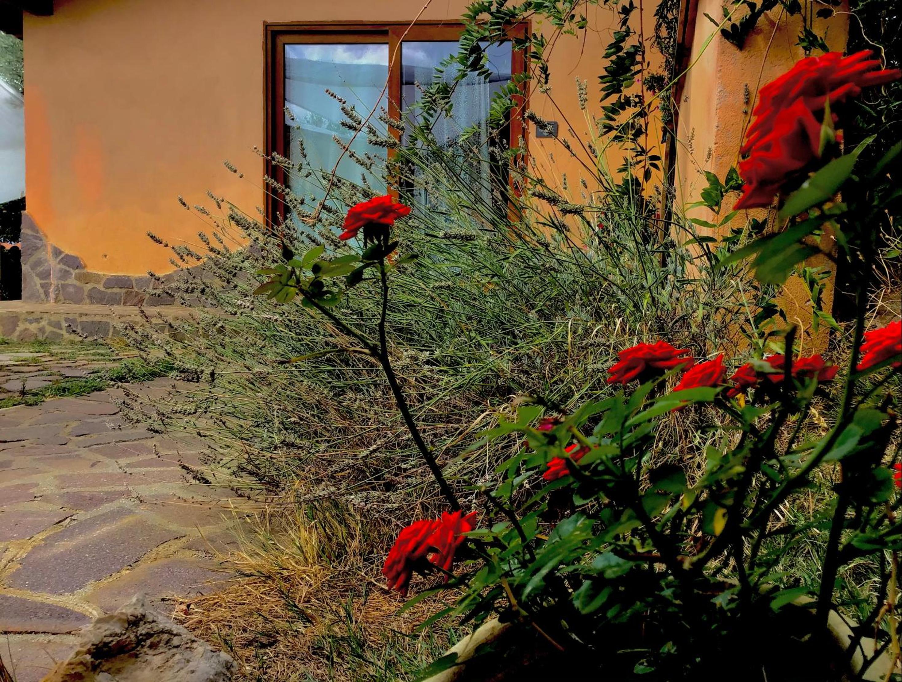 B&B A Casa di Silvia