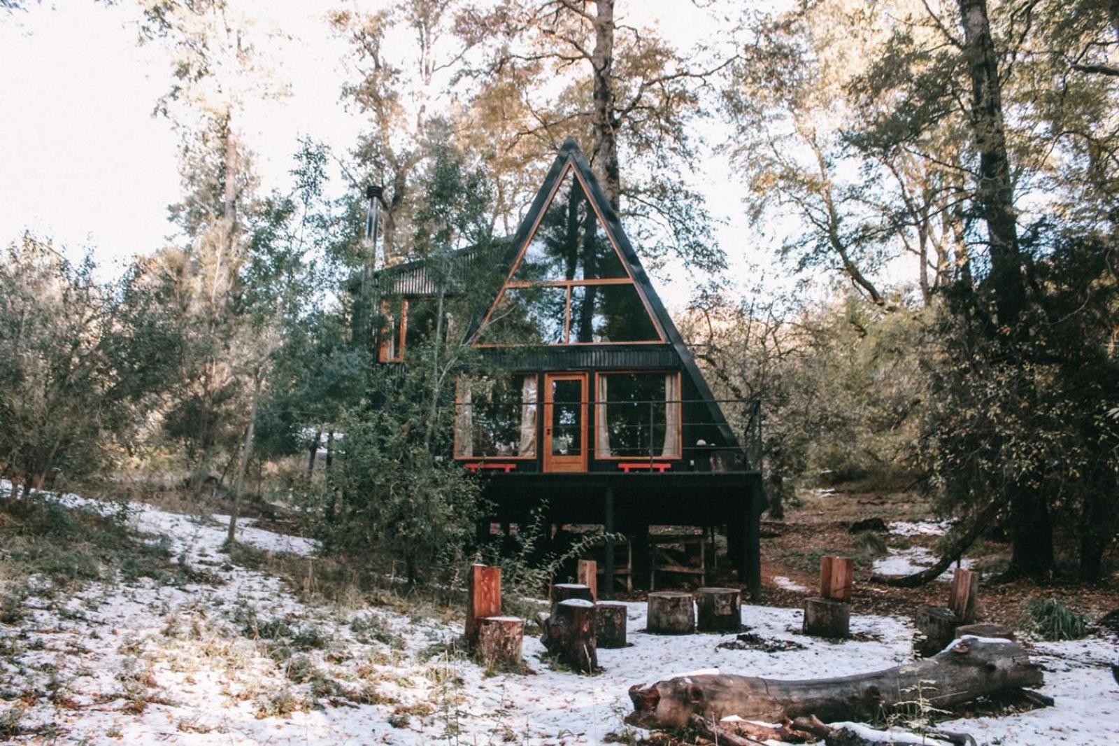 Aldea Torii, Alpina de montaña
