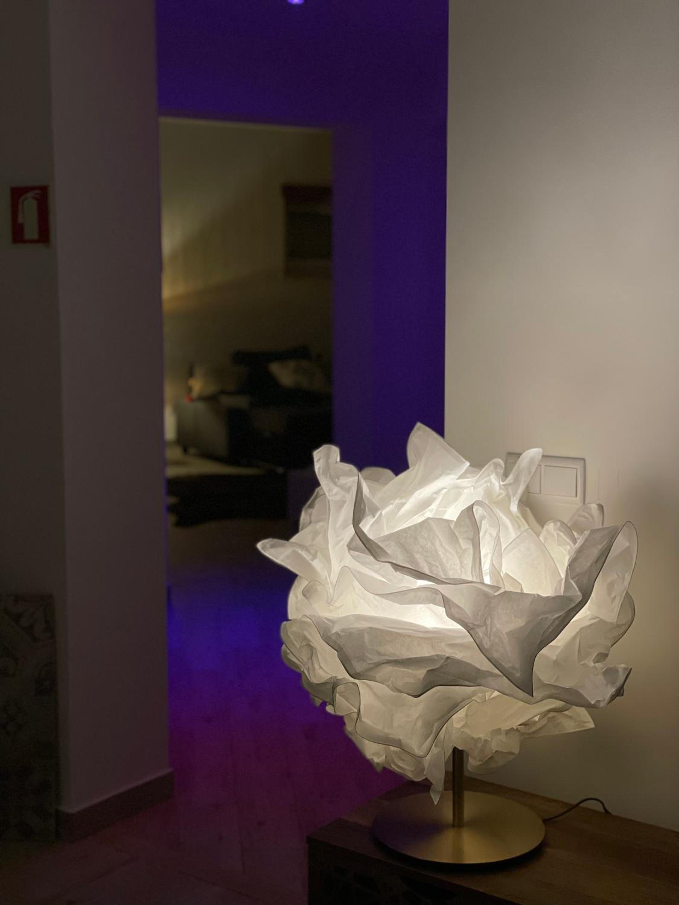 Photo 34