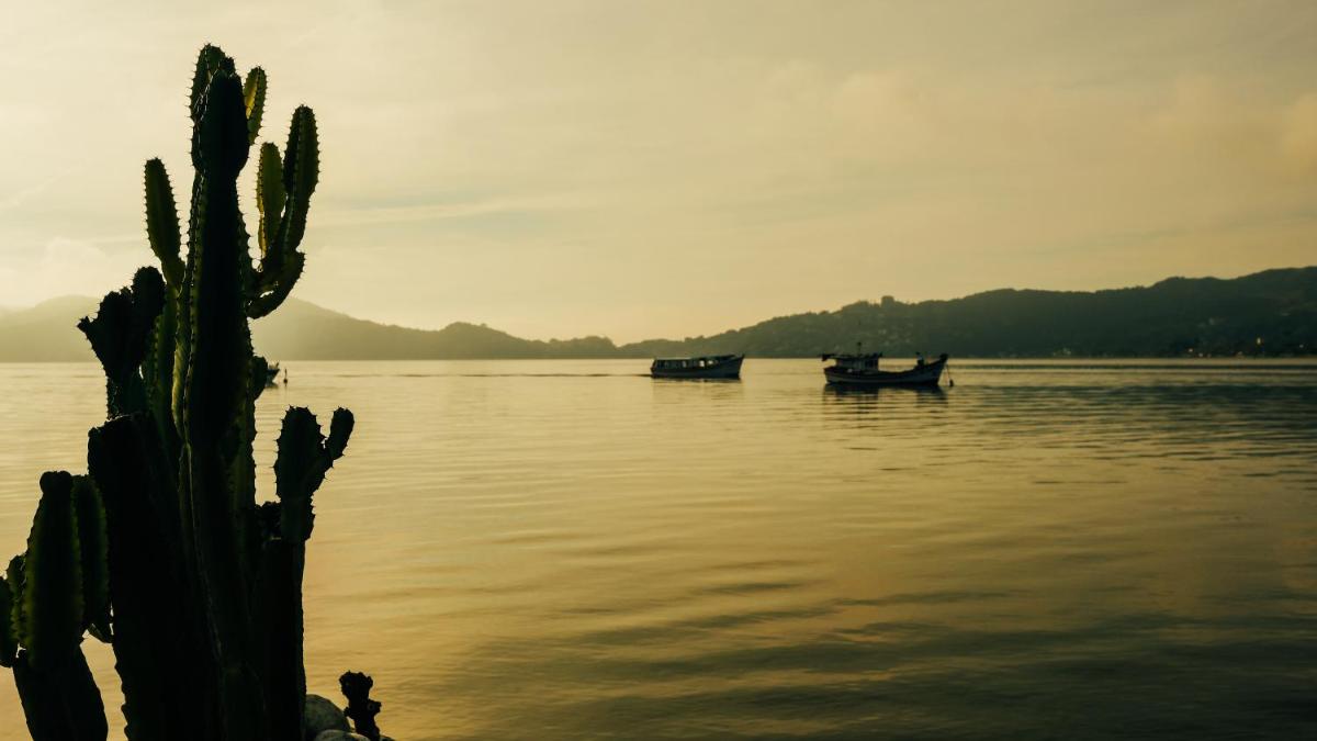 Lagoa Nômade Hostel en Florianópolis