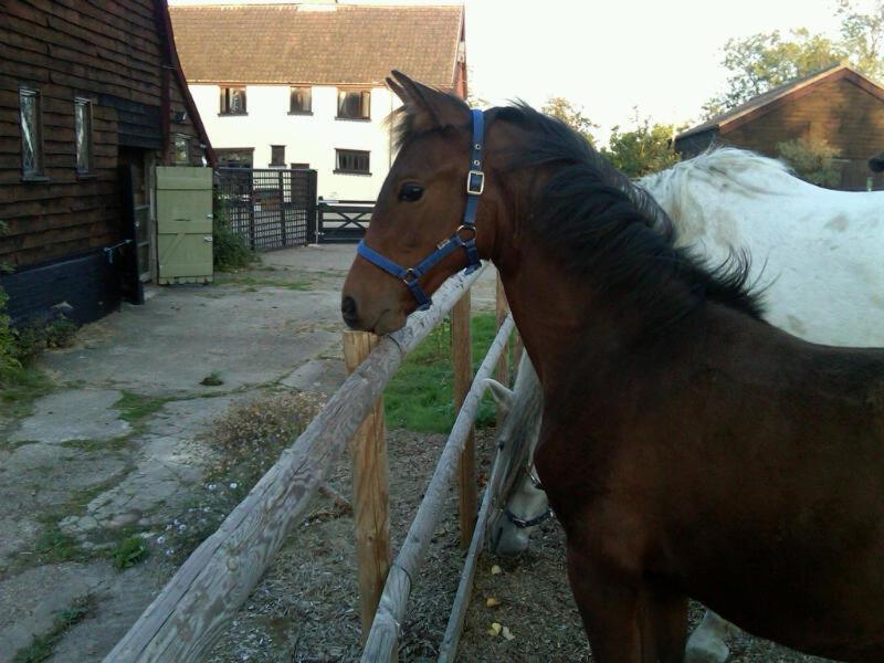 Photo 49