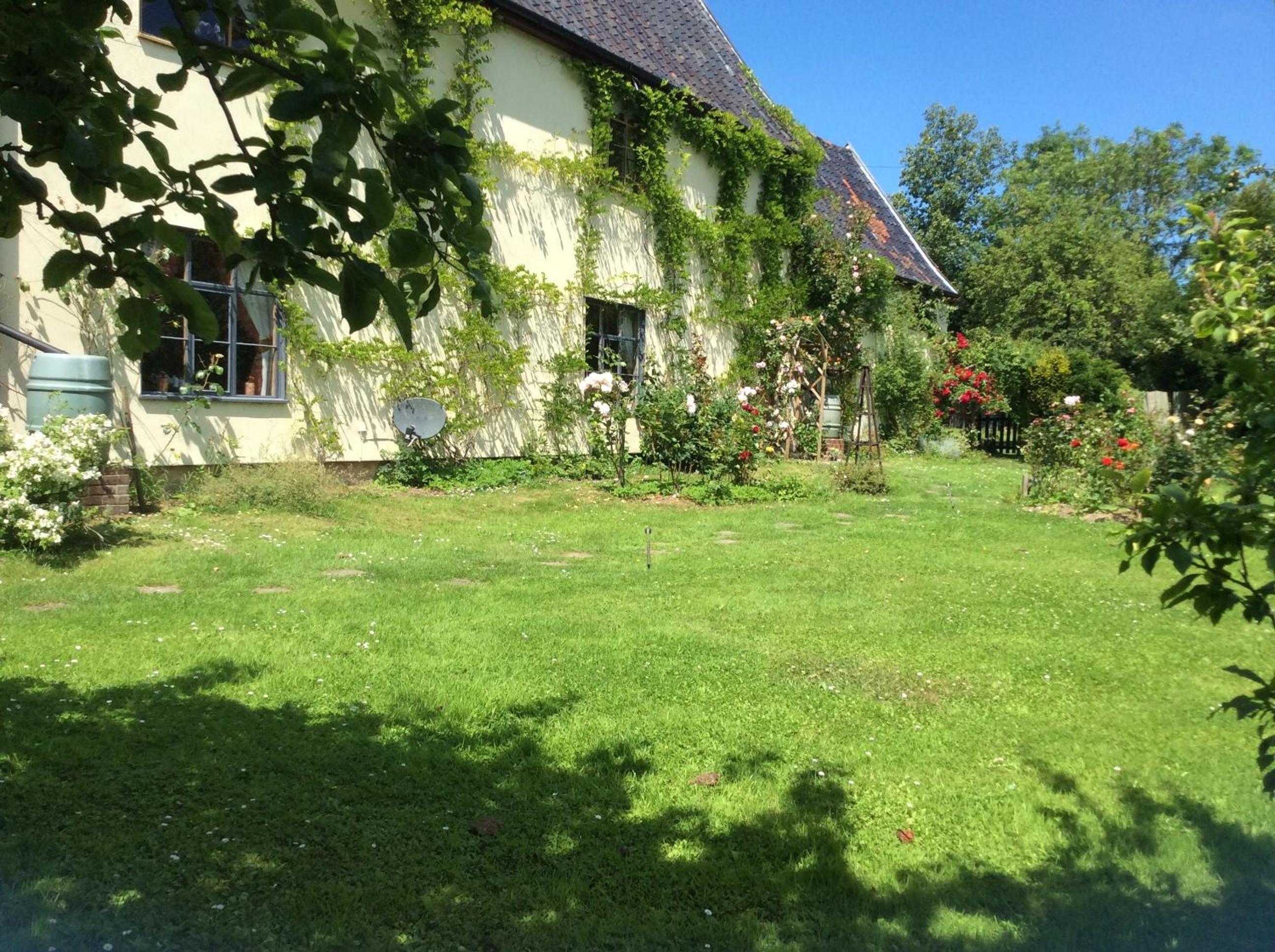 Photo 19