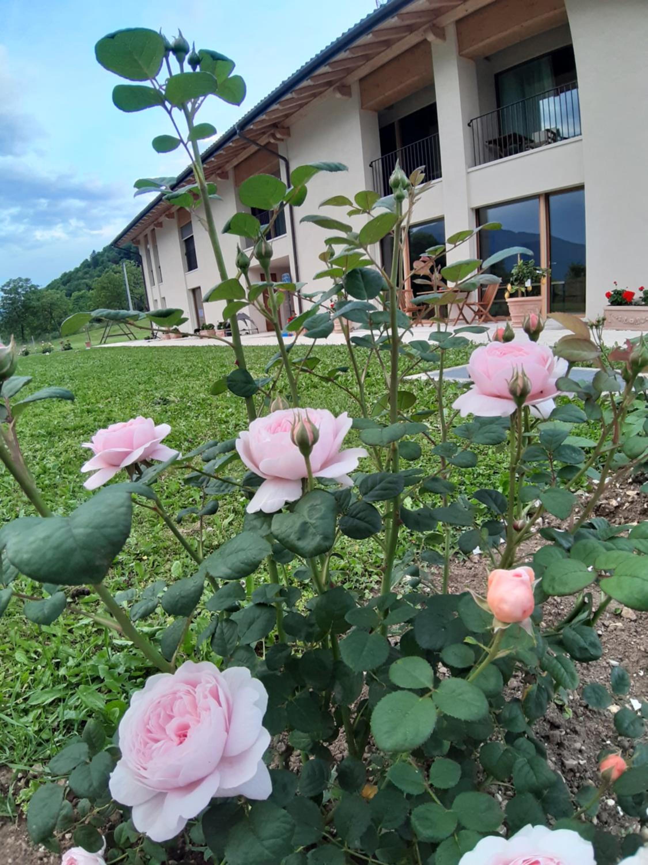 La casa di Maia - Alloggio Agrituristico view 5