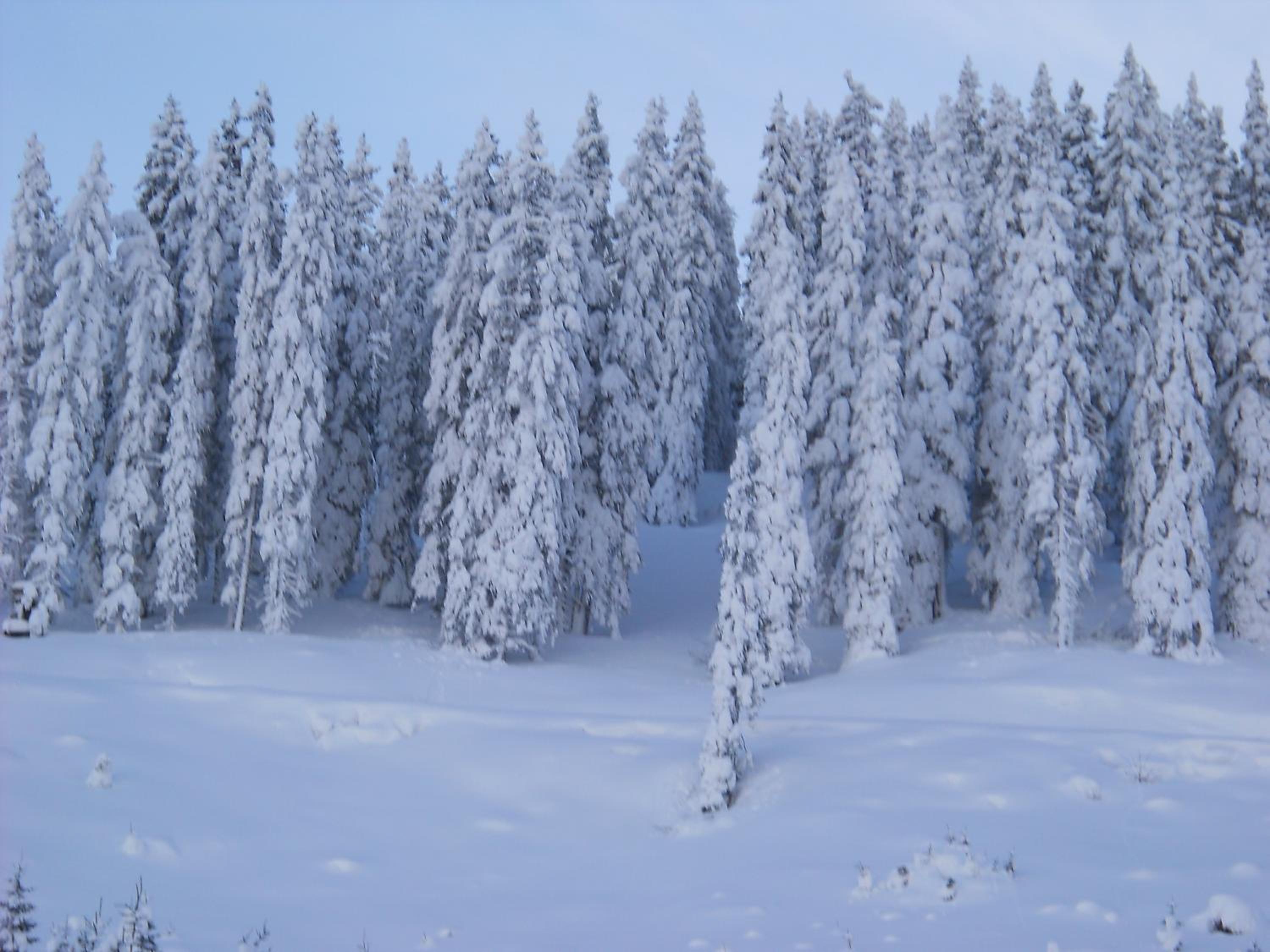 Panoramahof Gupf