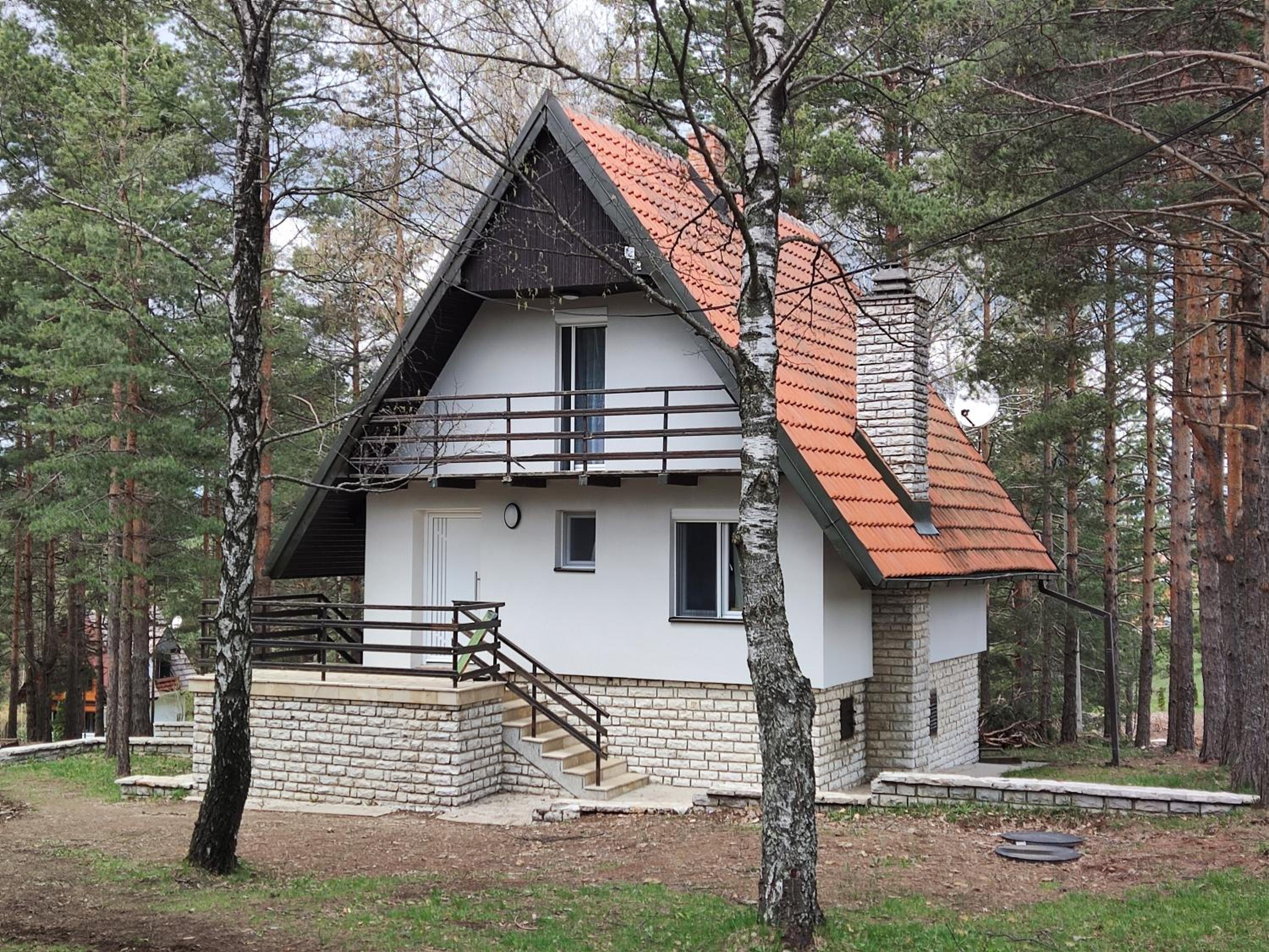 PLANINSKA VILA SMIGIC view 4