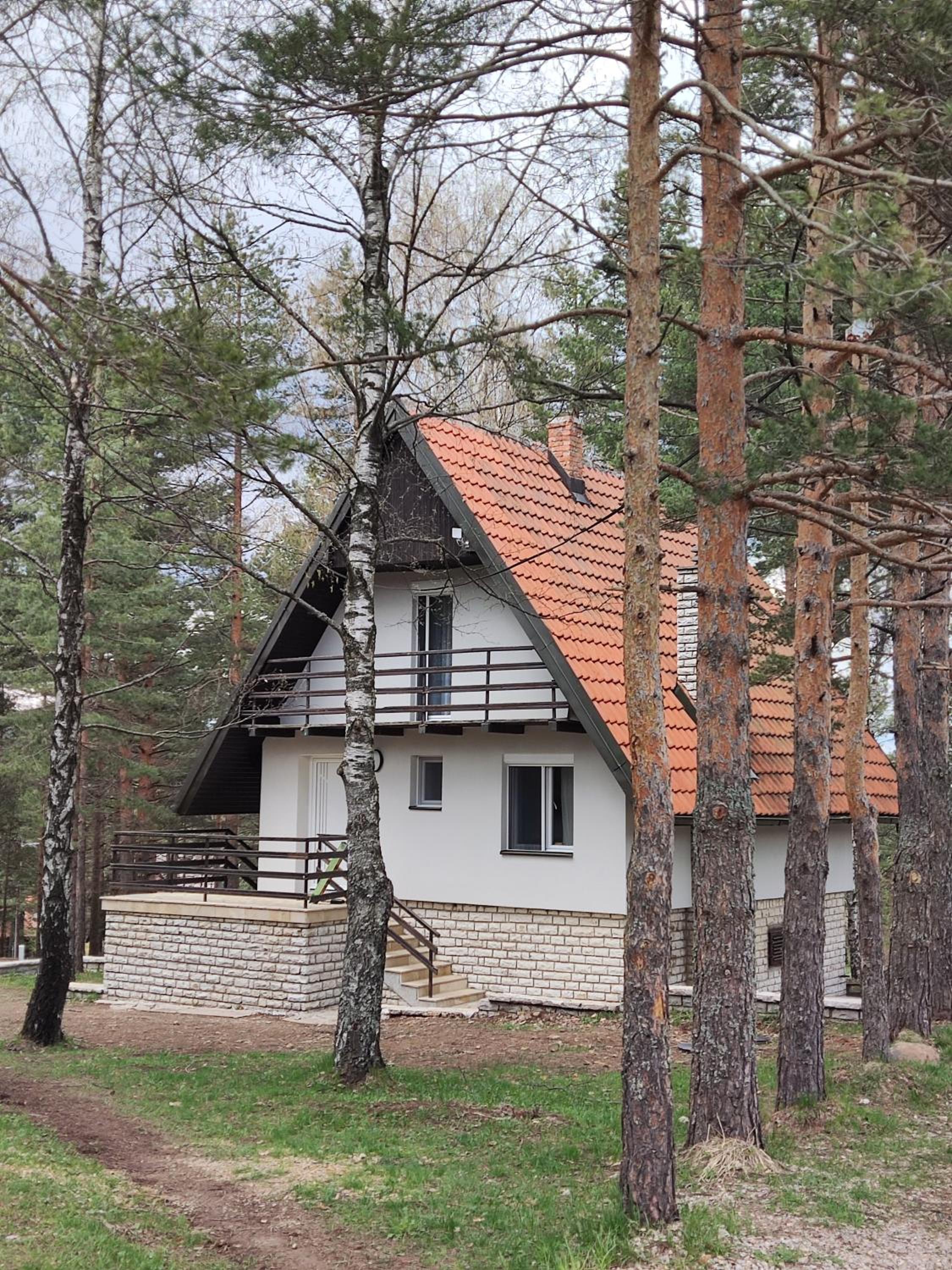 PLANINSKA VILA SMIGIC view 3