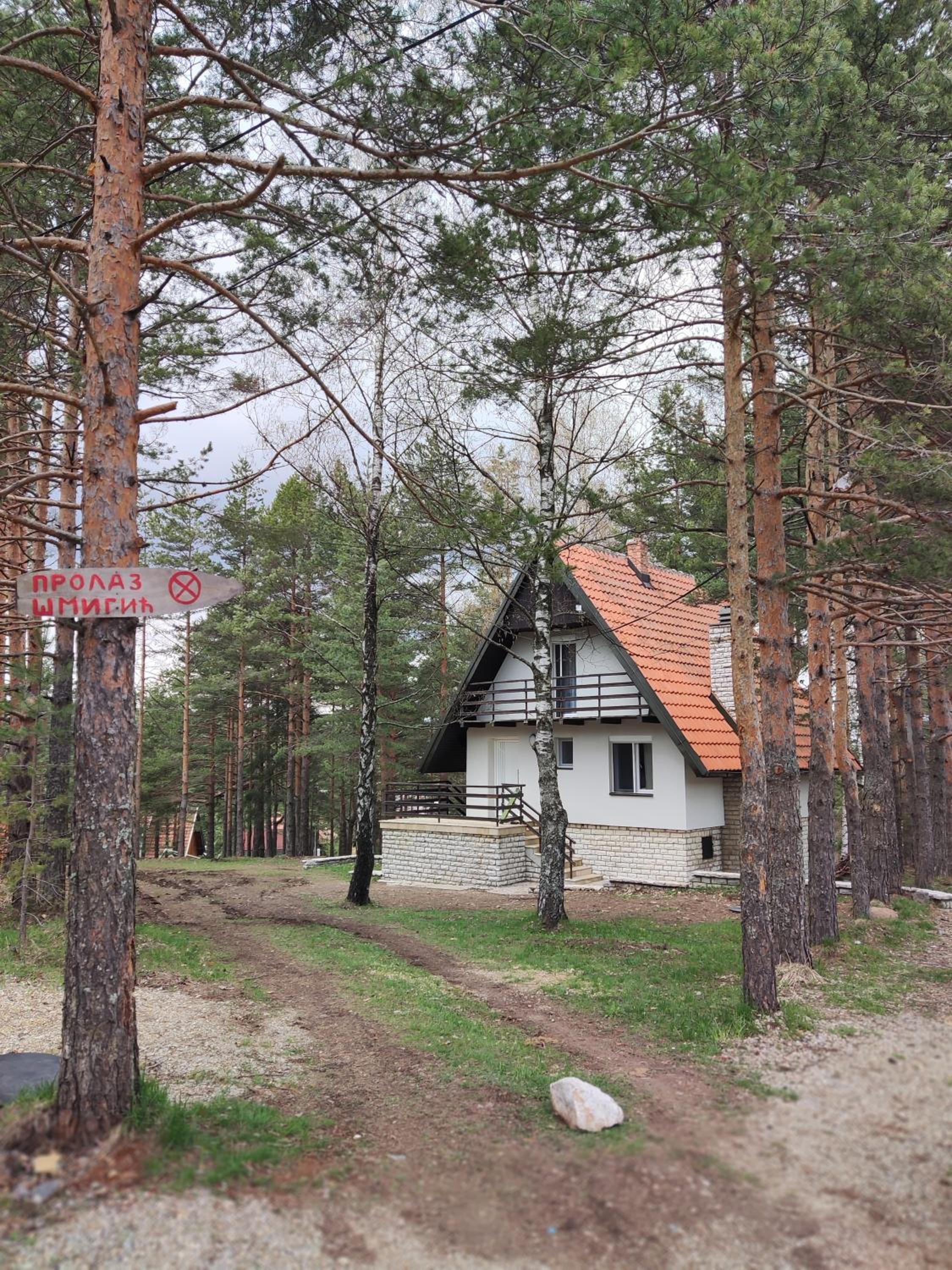 PLANINSKA VILA SMIGIC view 2