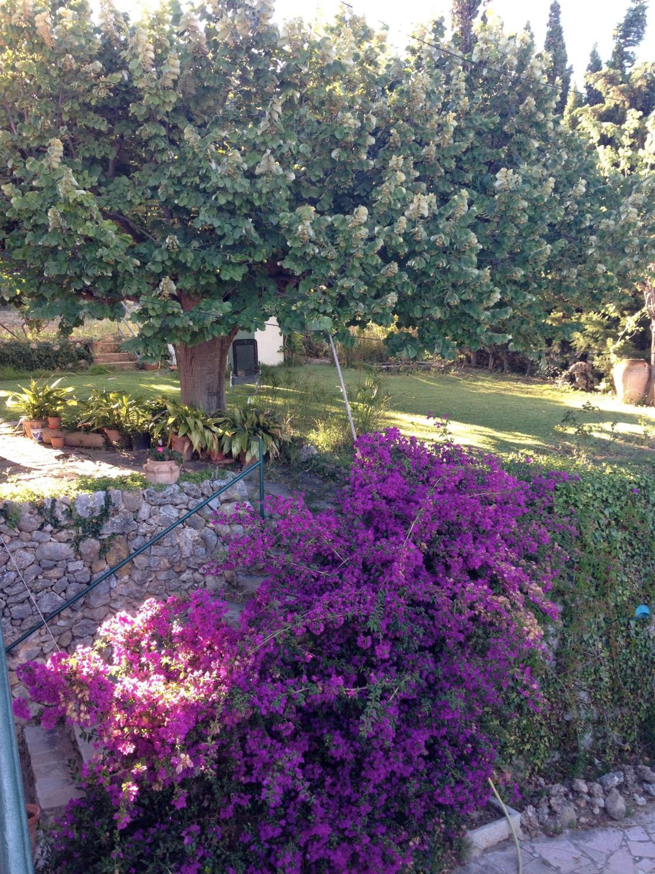 other