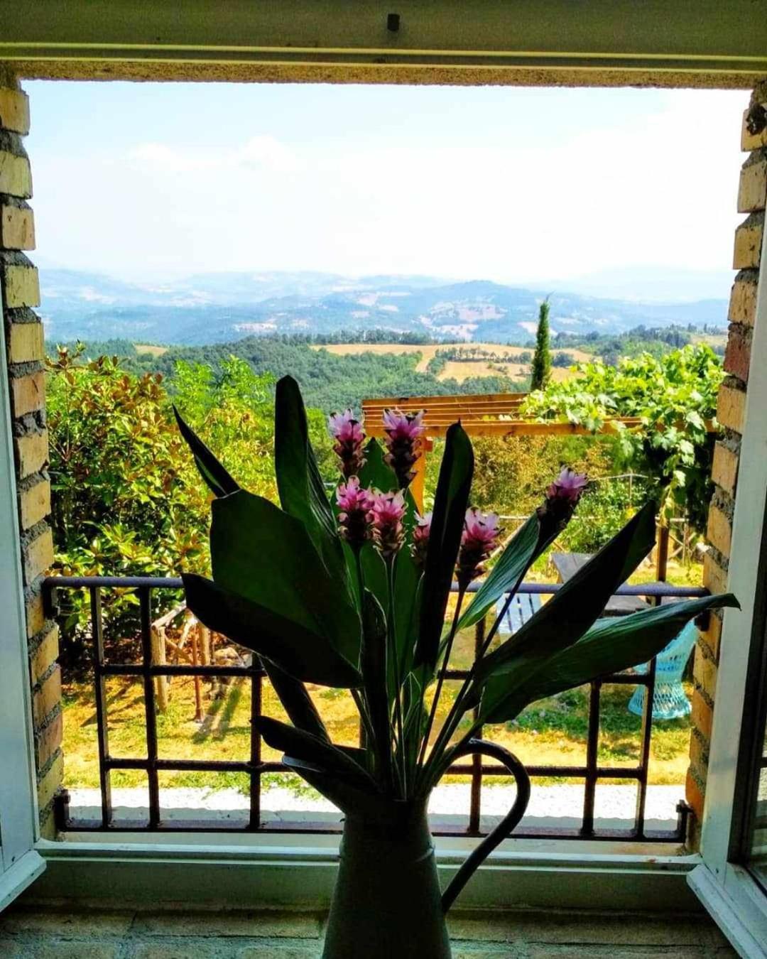 Agriturismo Montesalce