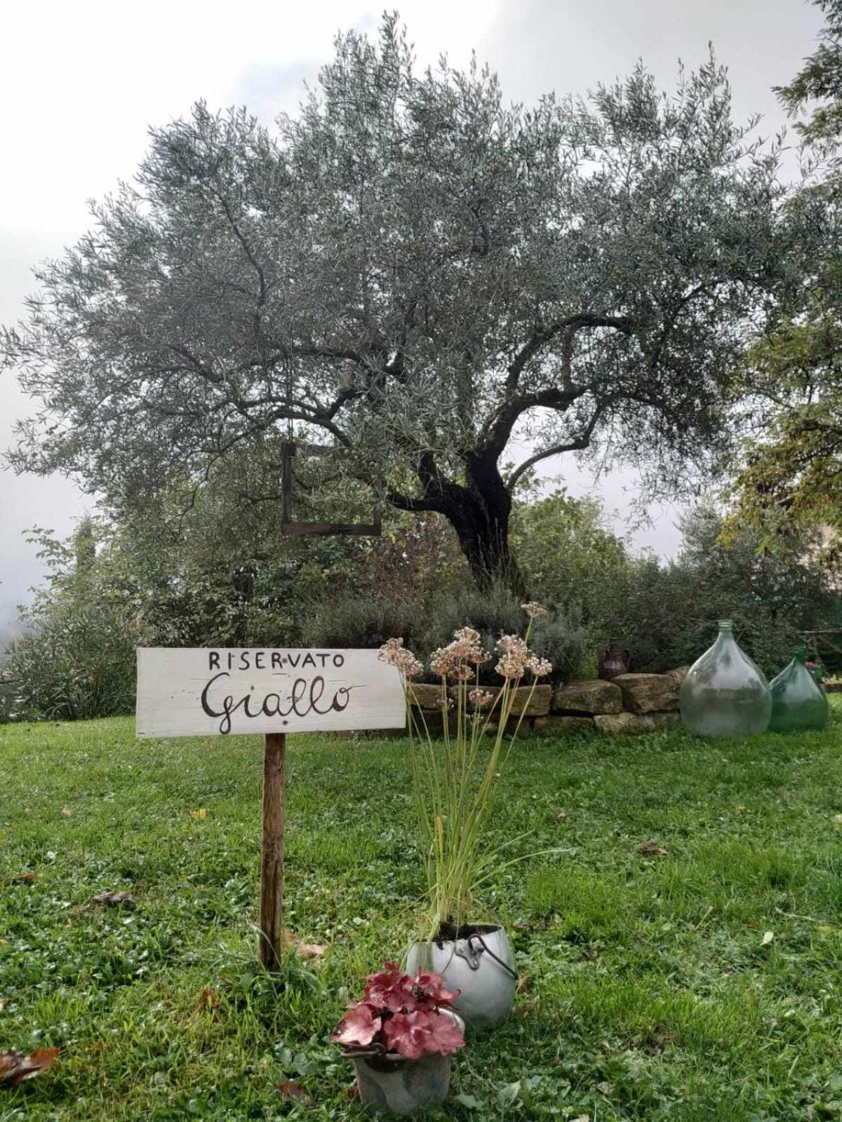 Agriturismo Montesalce