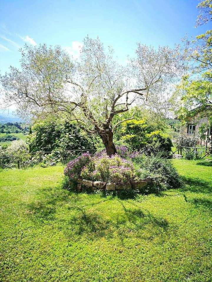 Agriturismo Montesalce