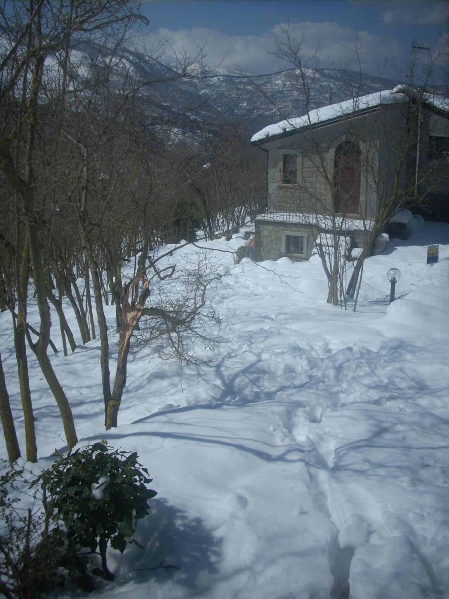 Photo 7