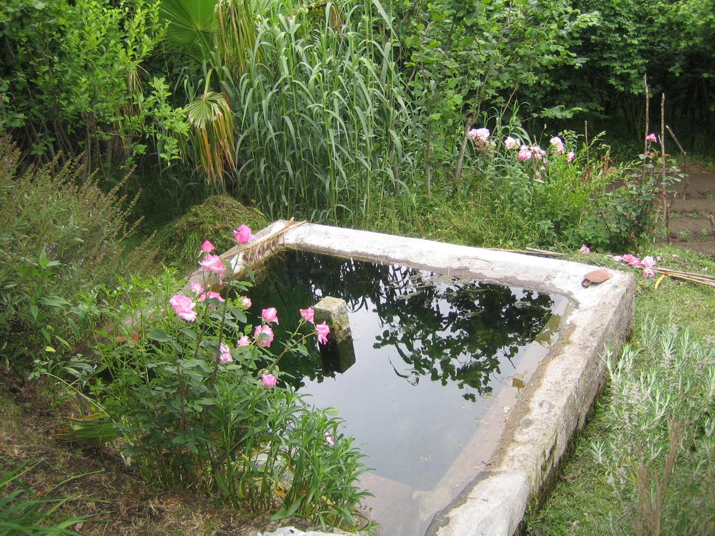 Photo 22