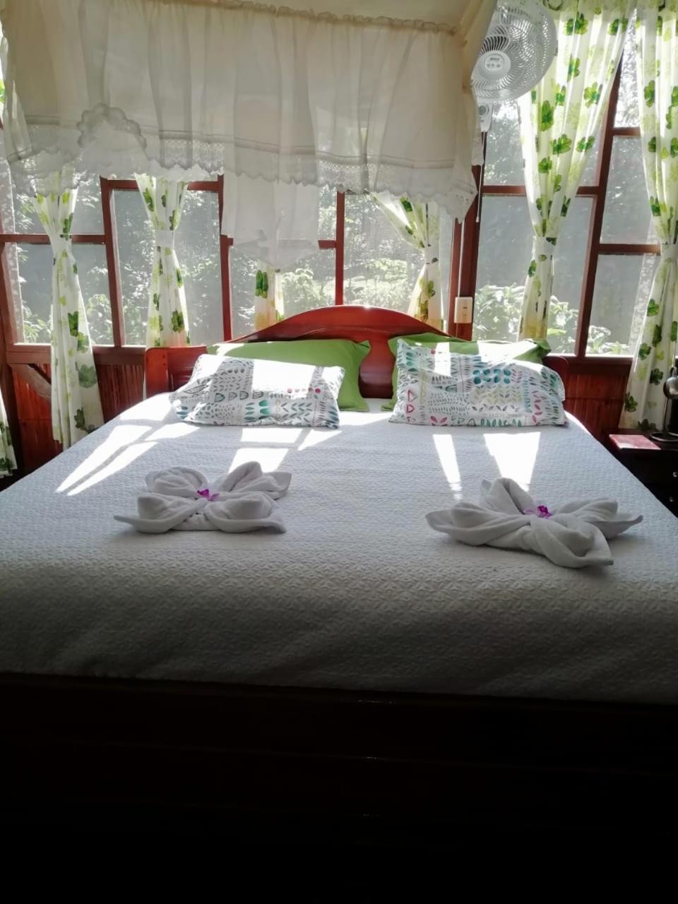 Yarina Eco Lodge