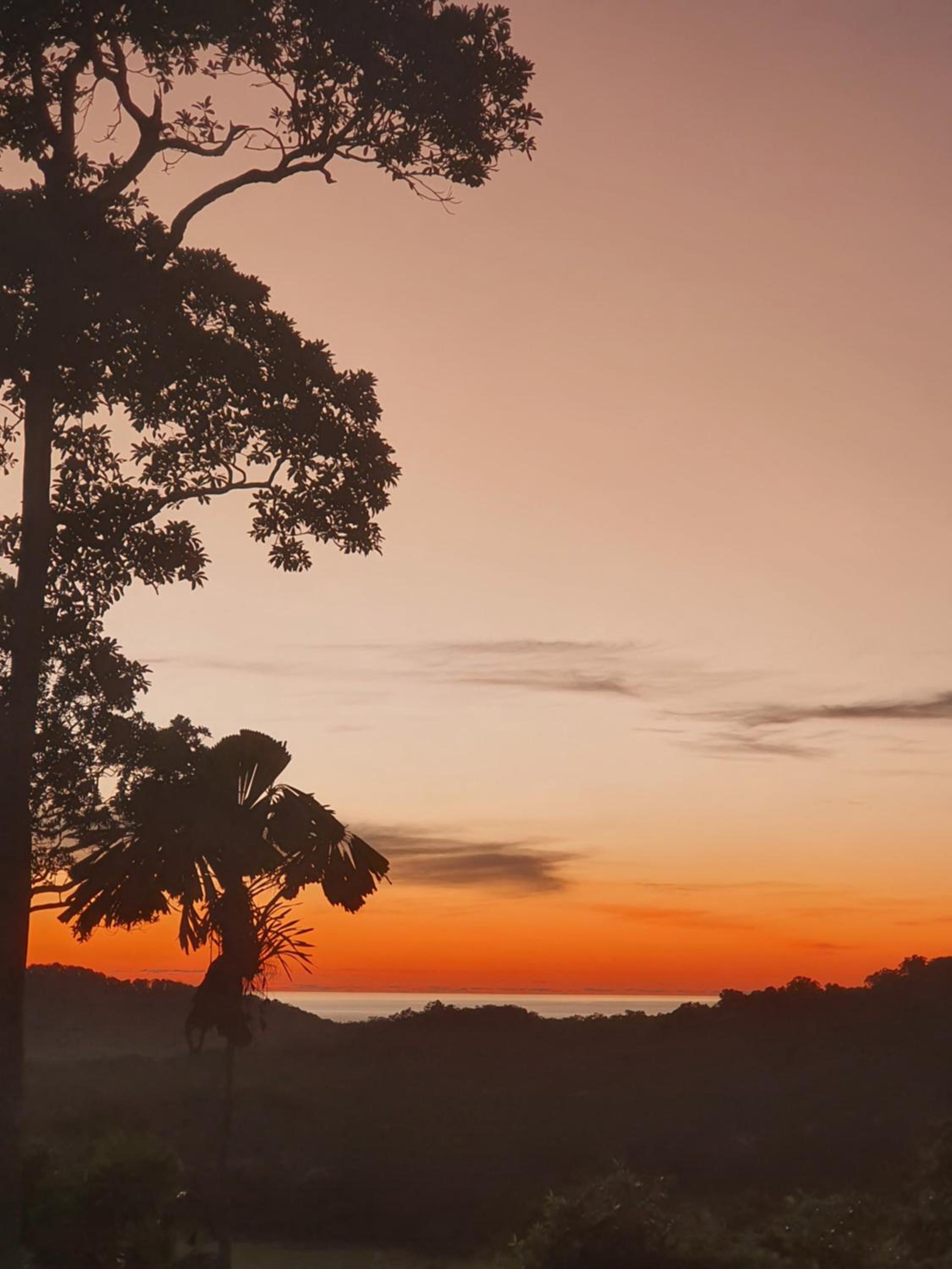 Daintree Holiday Homes - Yurara