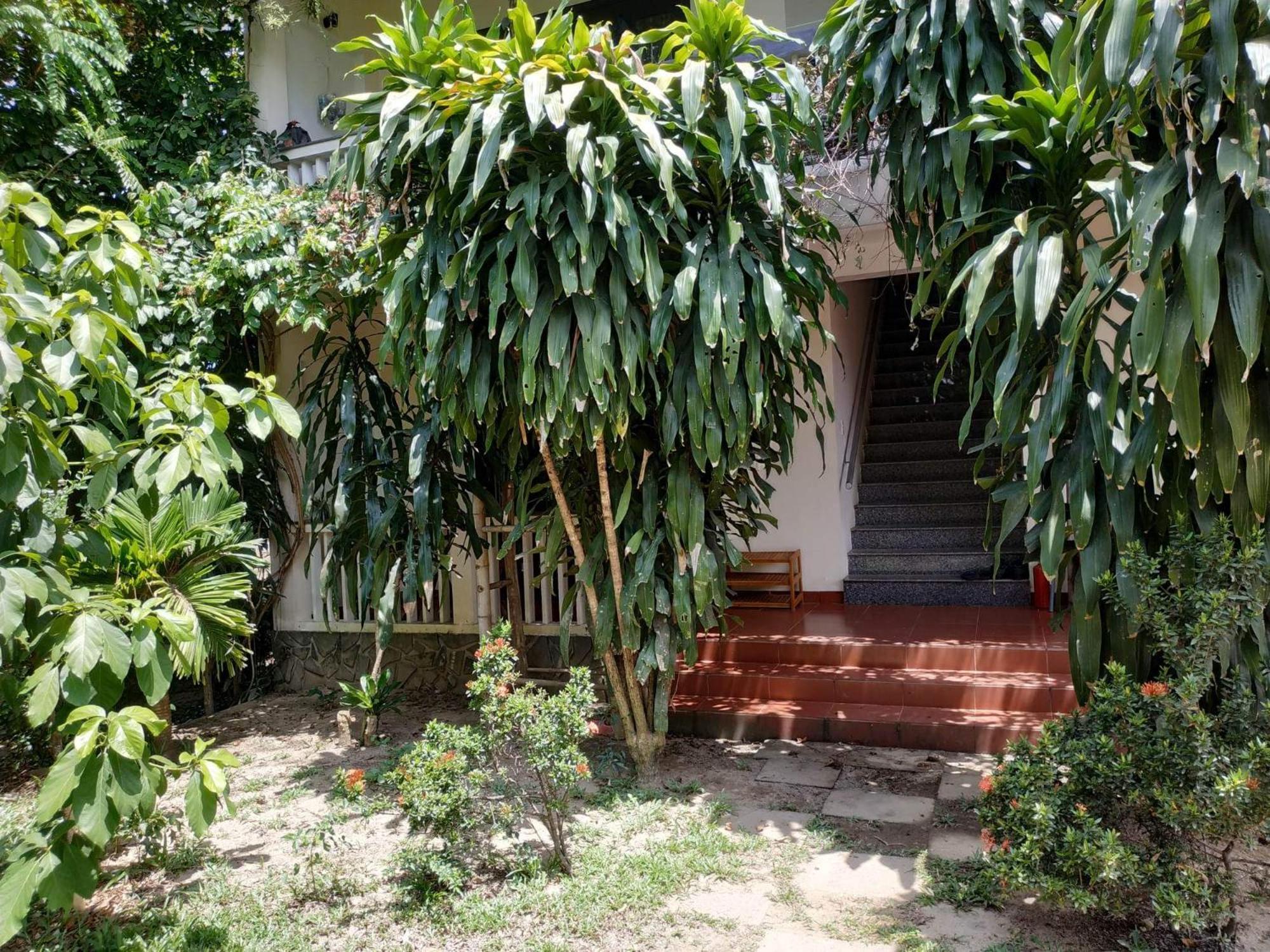 Photo 15