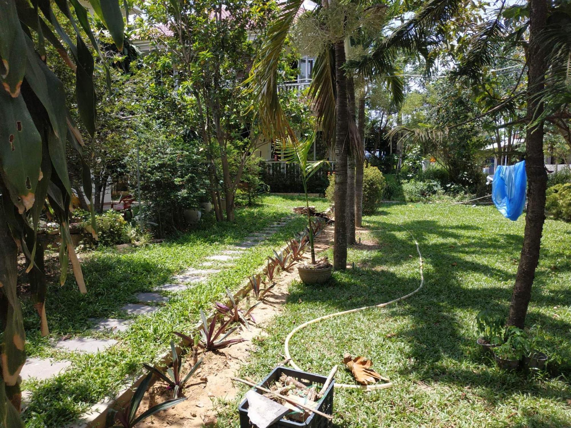 Nguyen Duy homestay view 2