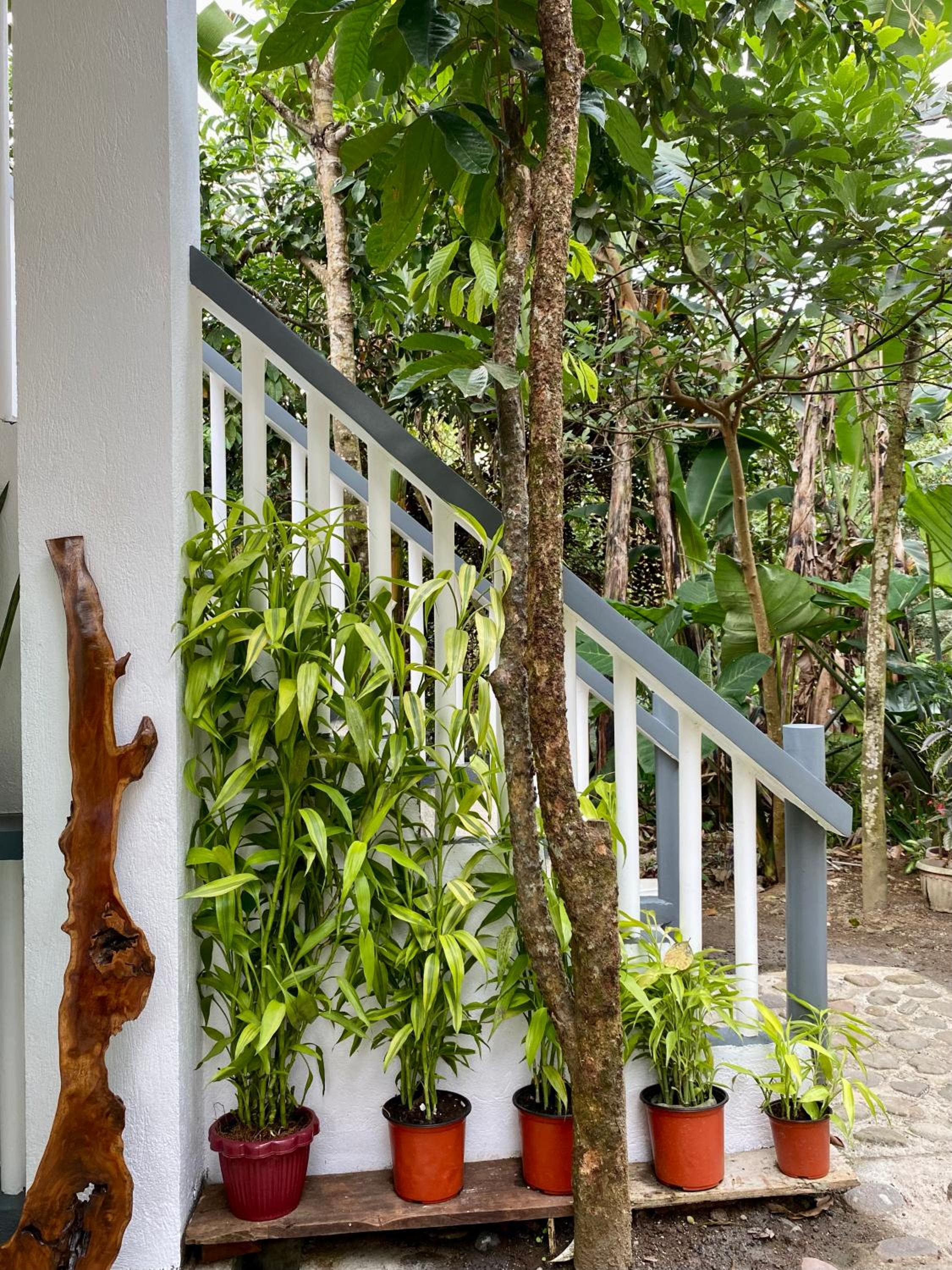 Casa Calanog view 5