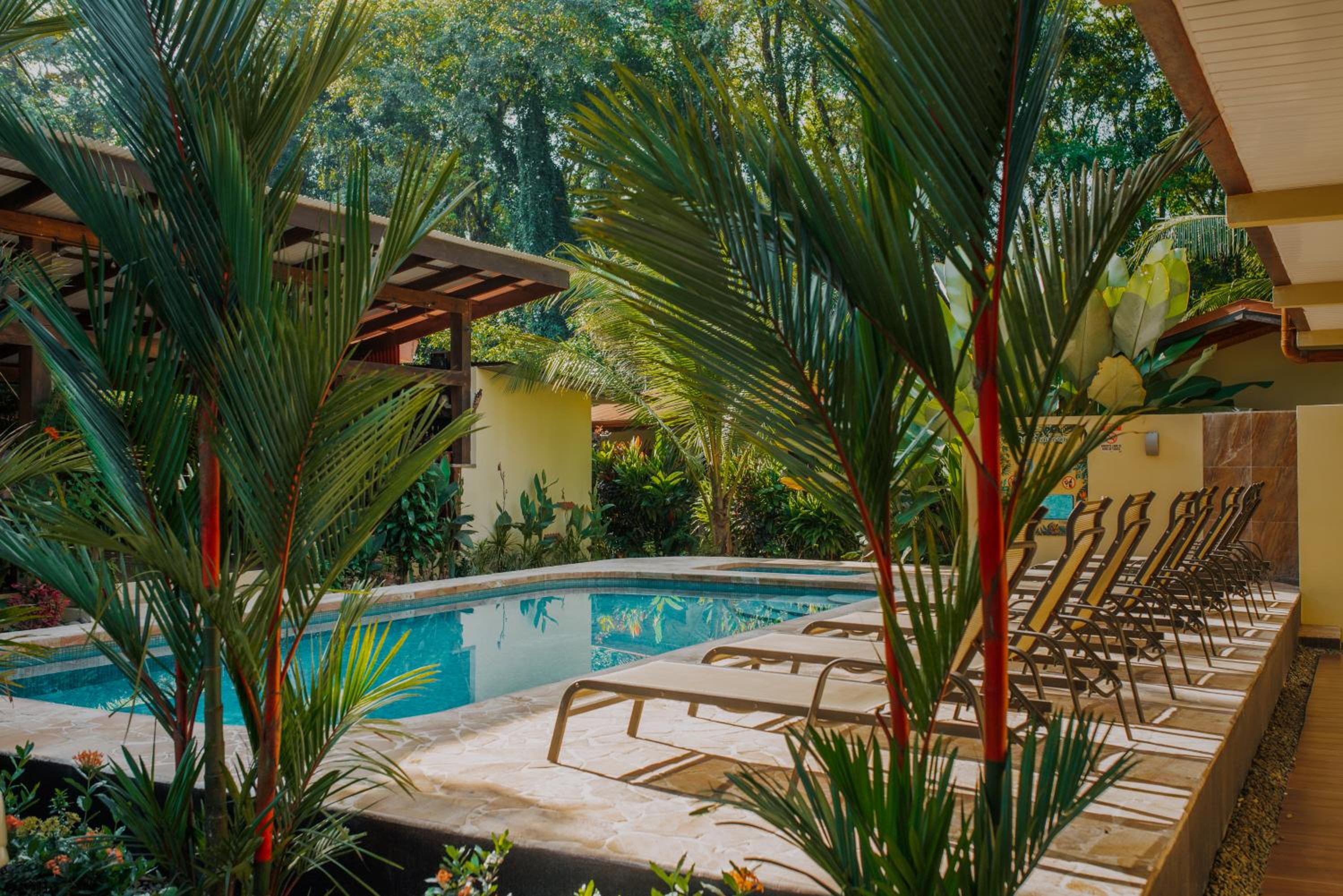 Tropical Beach