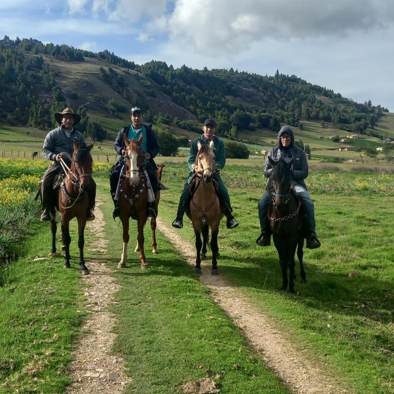 Cabañas el Olimpo