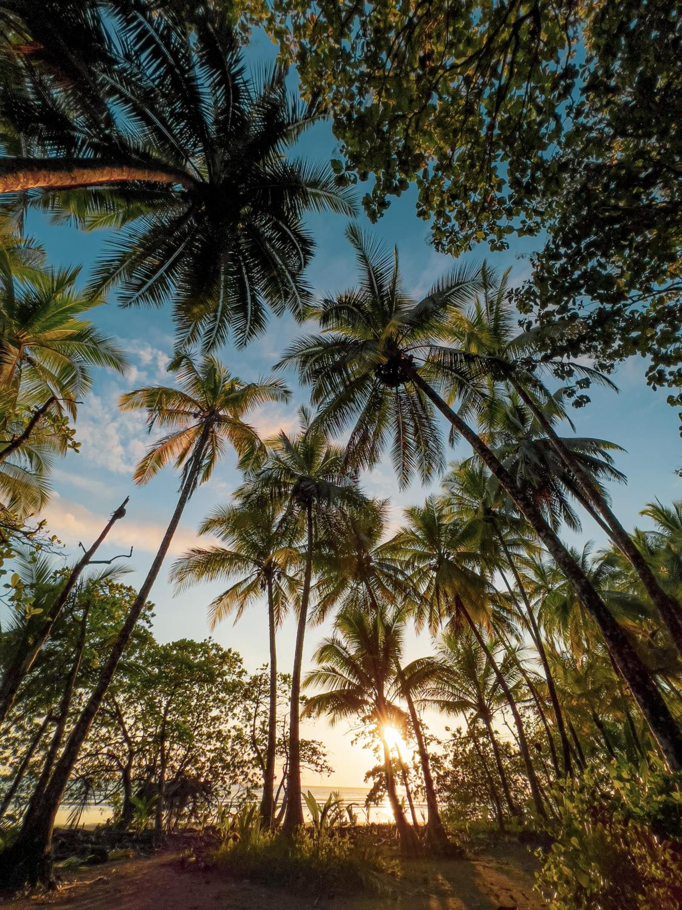 Tropical Beach