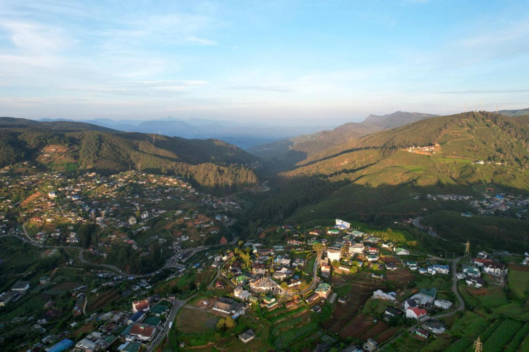 Gregory Hills