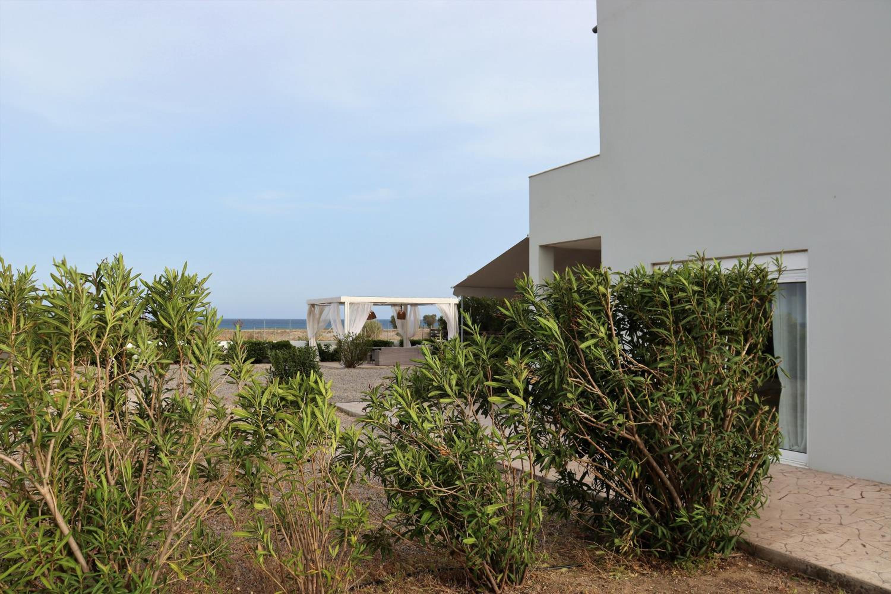 Photo 42