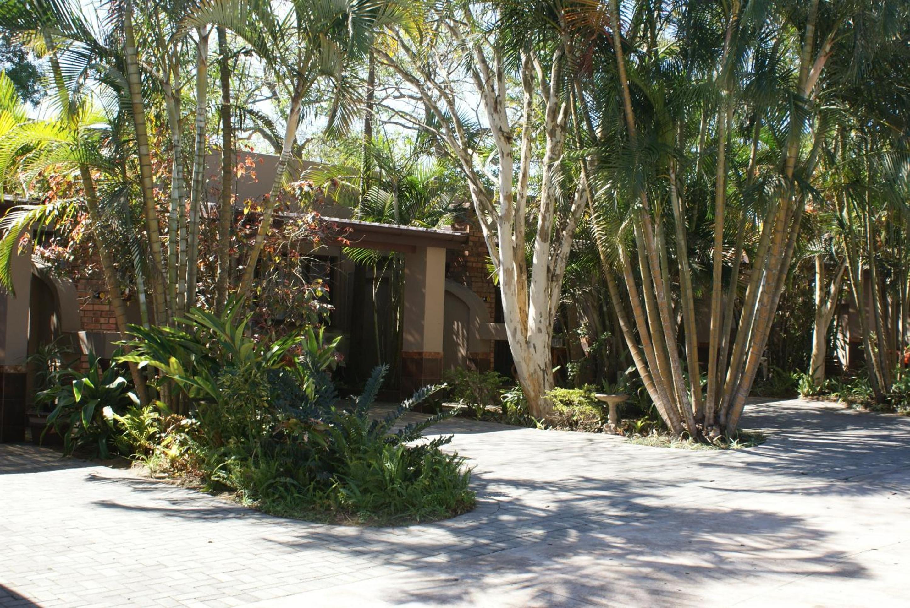 Photo 40