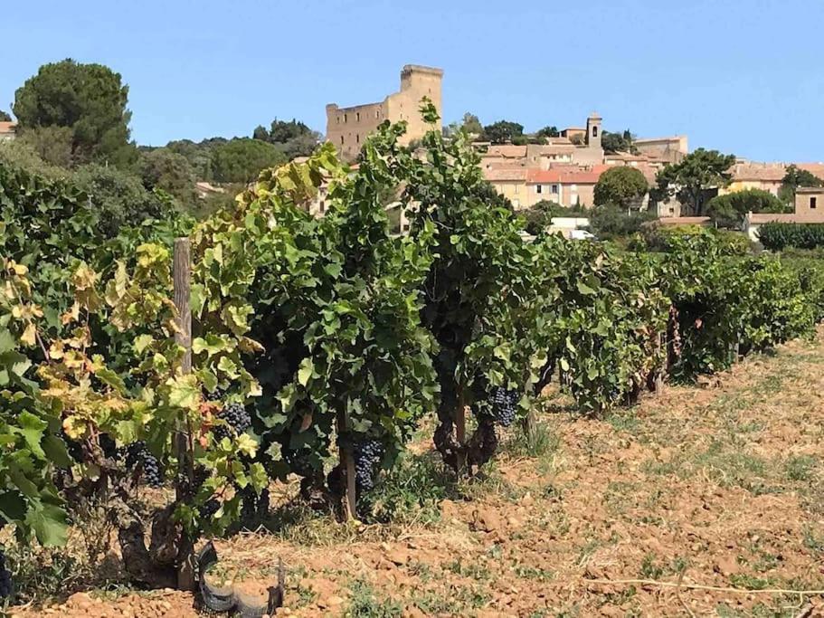 Le clos de la cerise - Villa Gilbert view 4