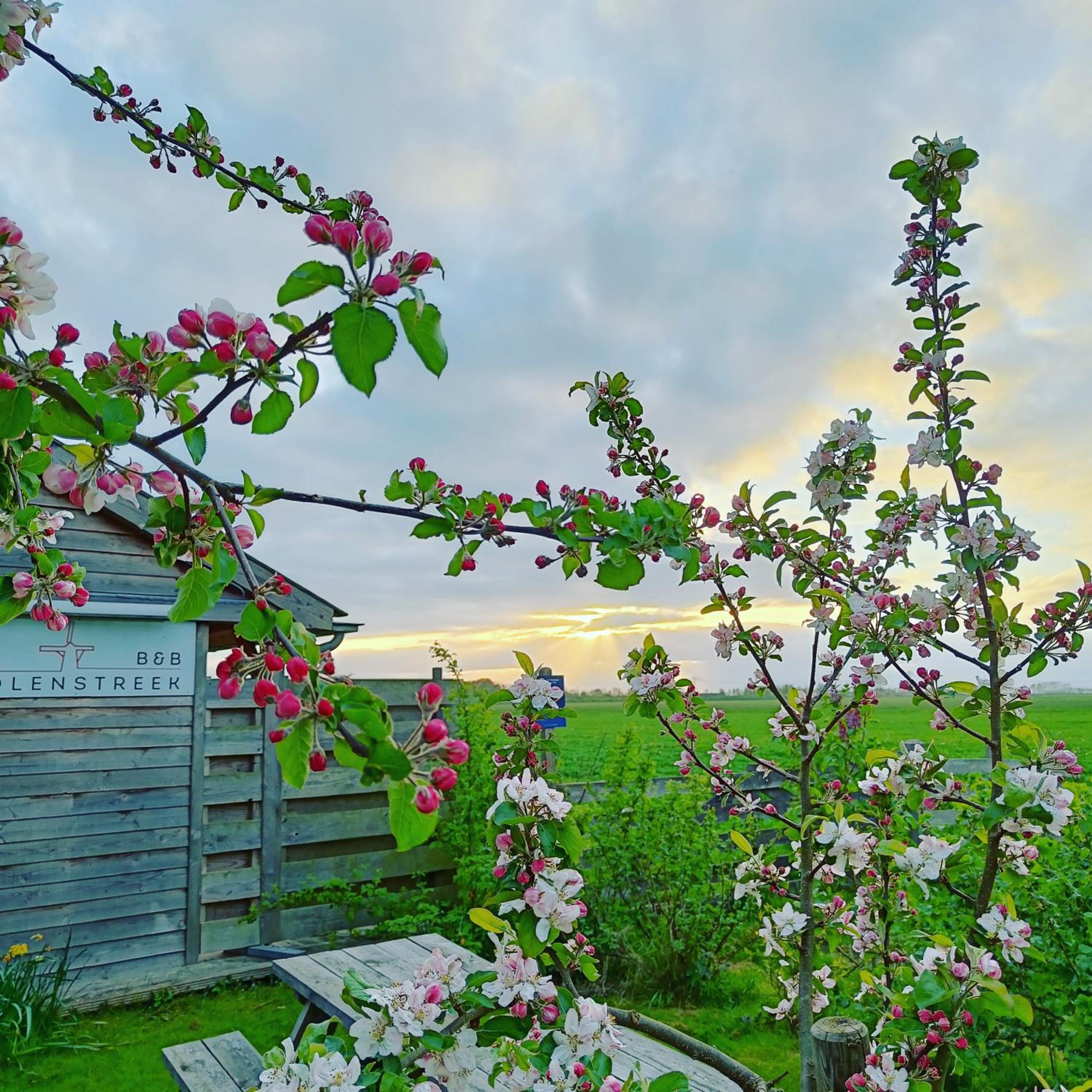 B&B Molenstreek view 3