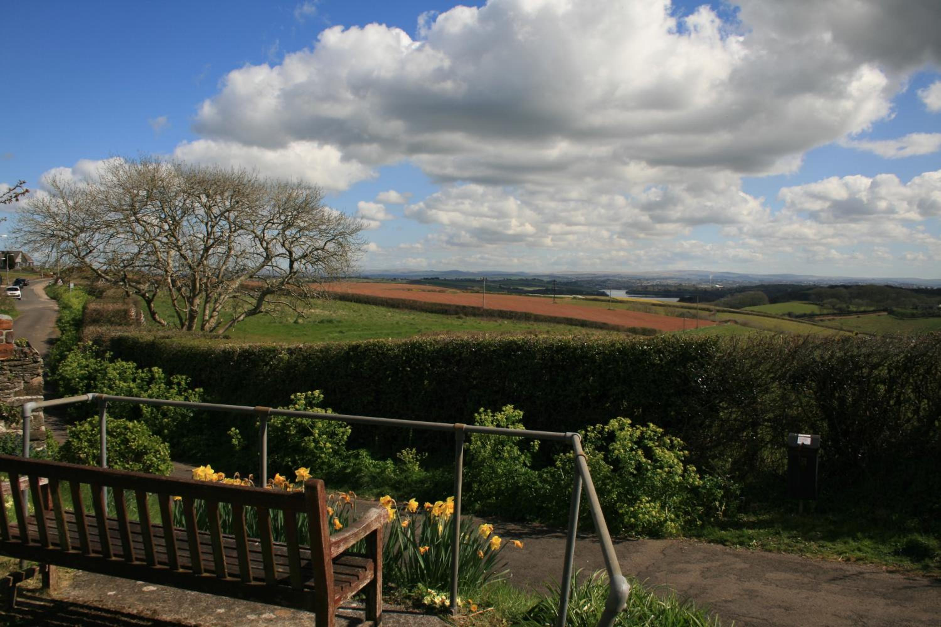 Trewebster view 5