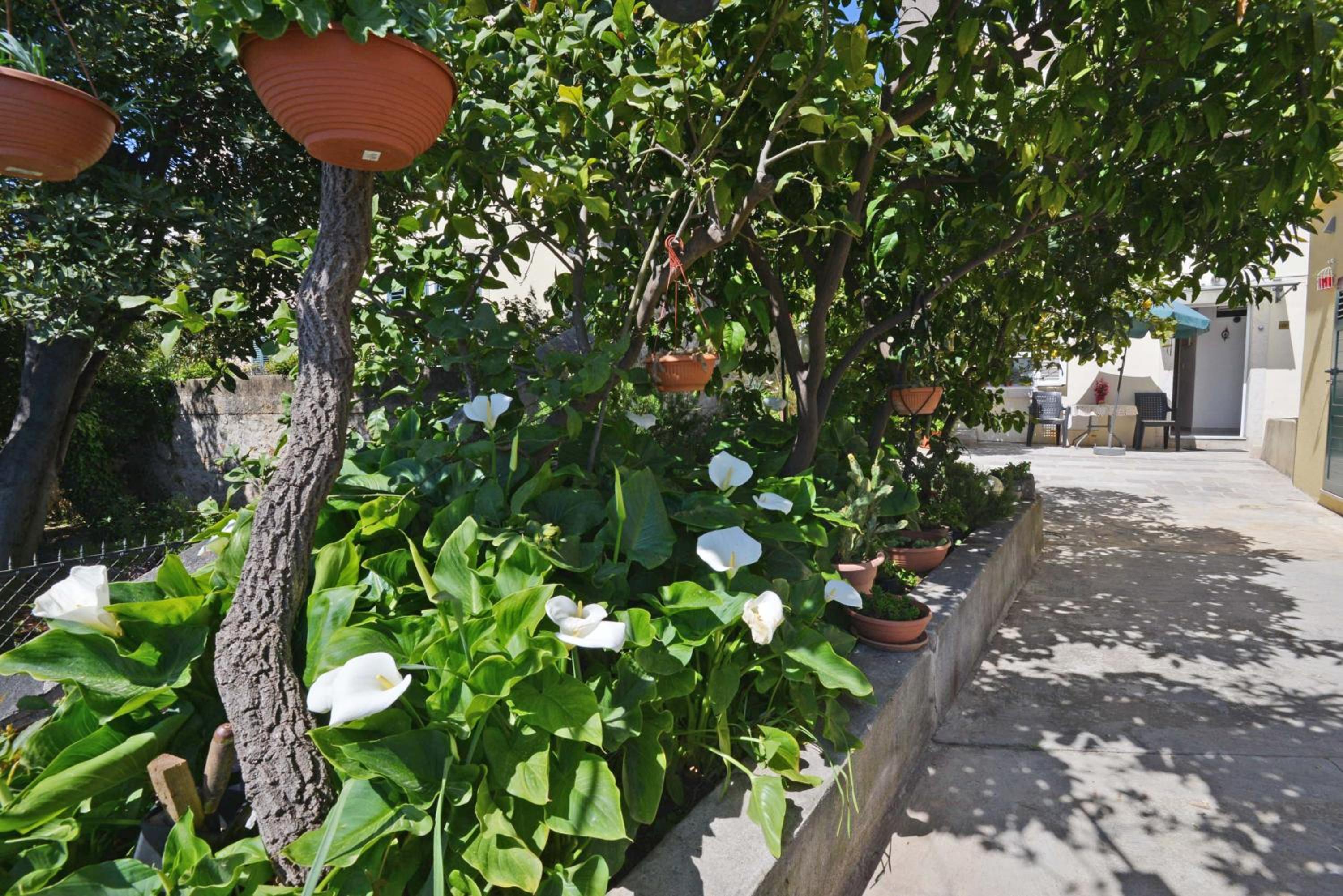 Guesthouse Manda