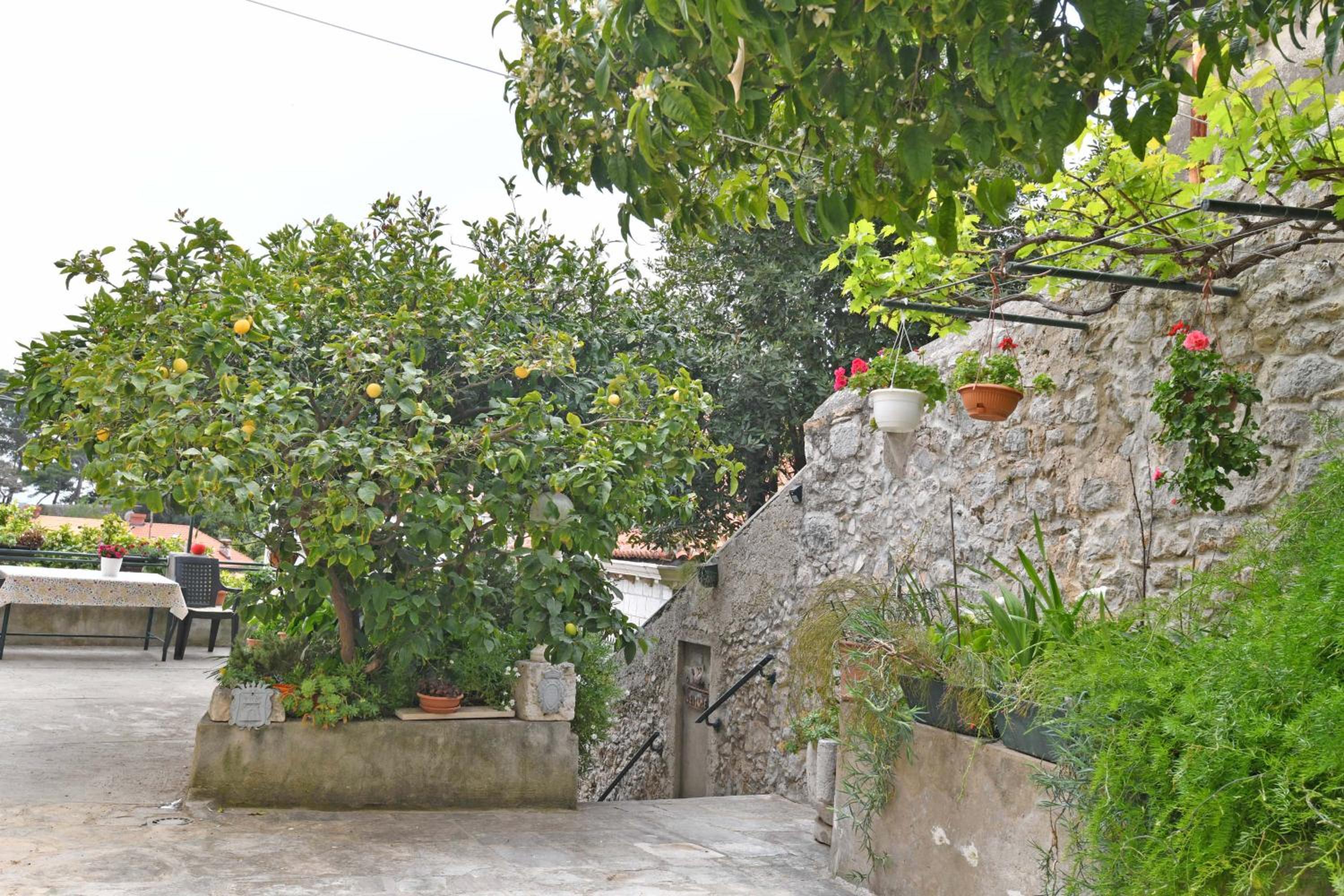 Guesthouse Manda