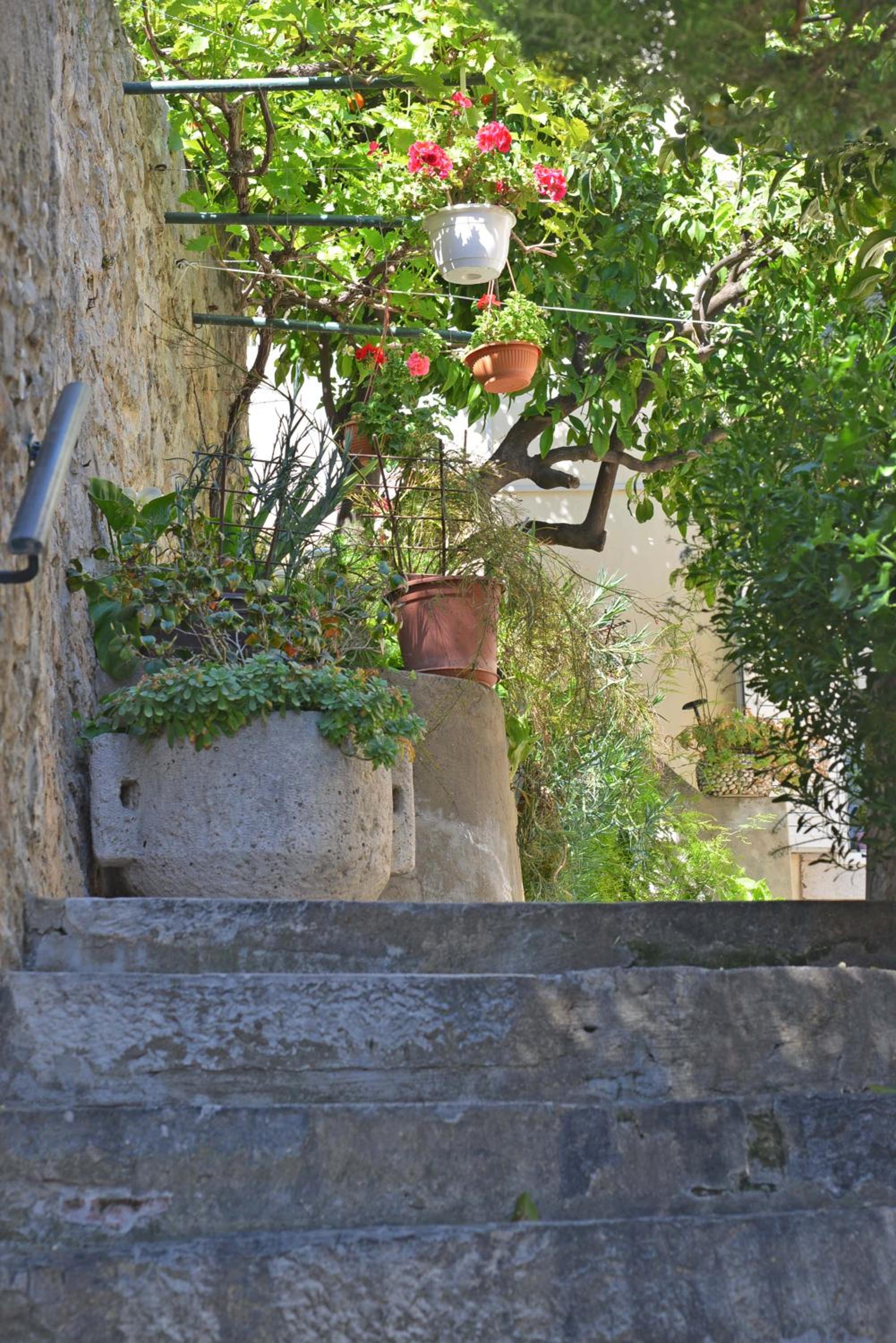 Guesthouse Manda