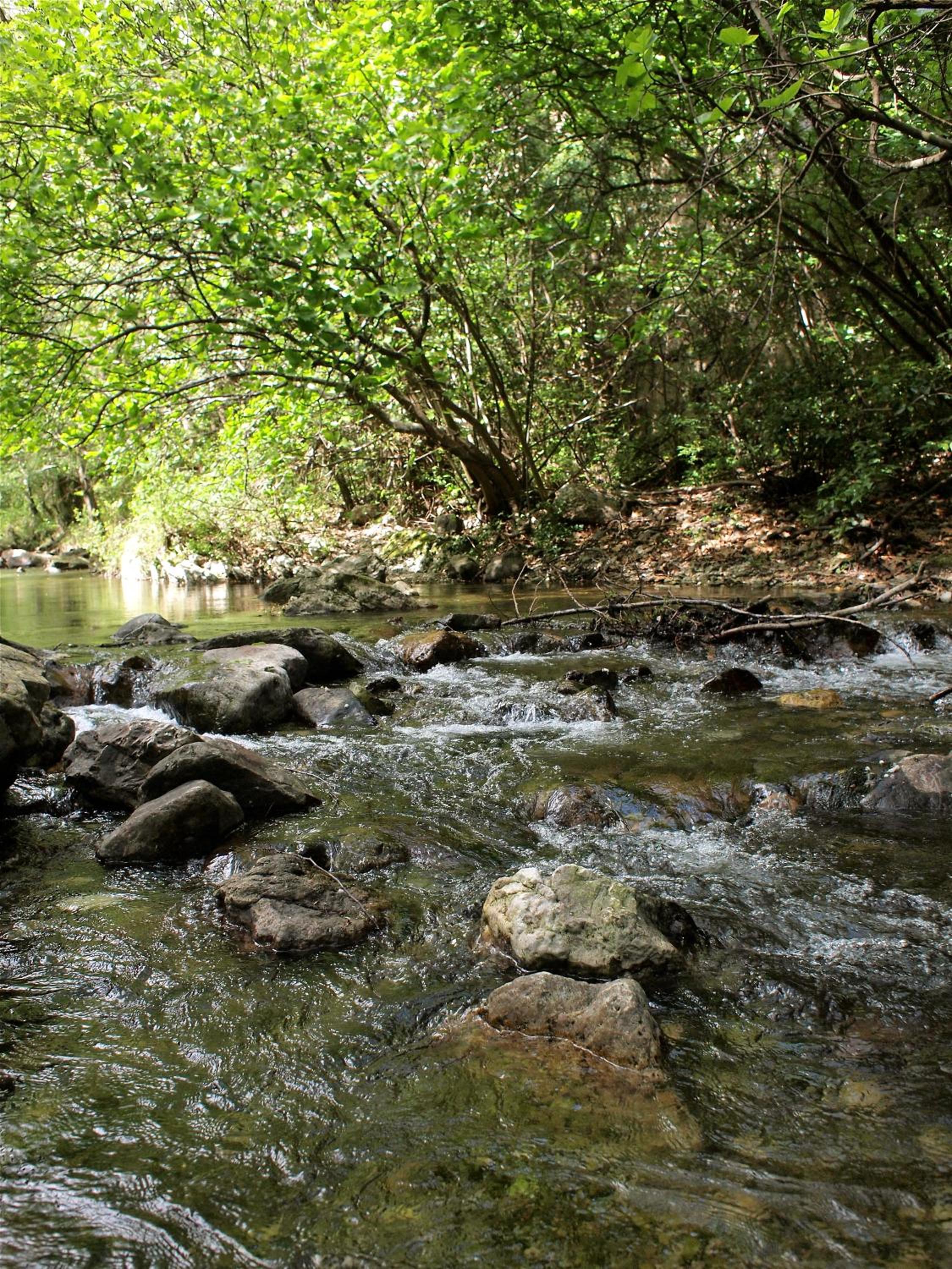 Domaine Des Agnelles