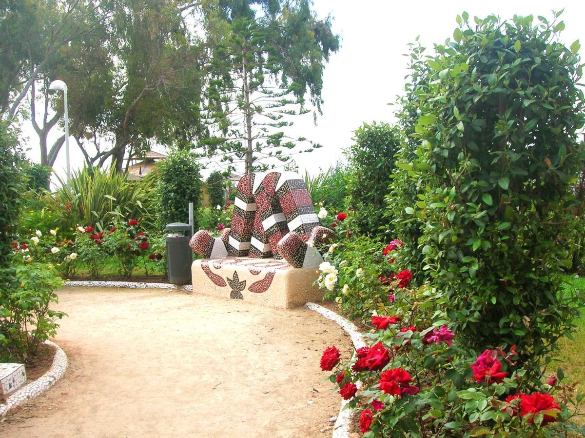 Photo 7