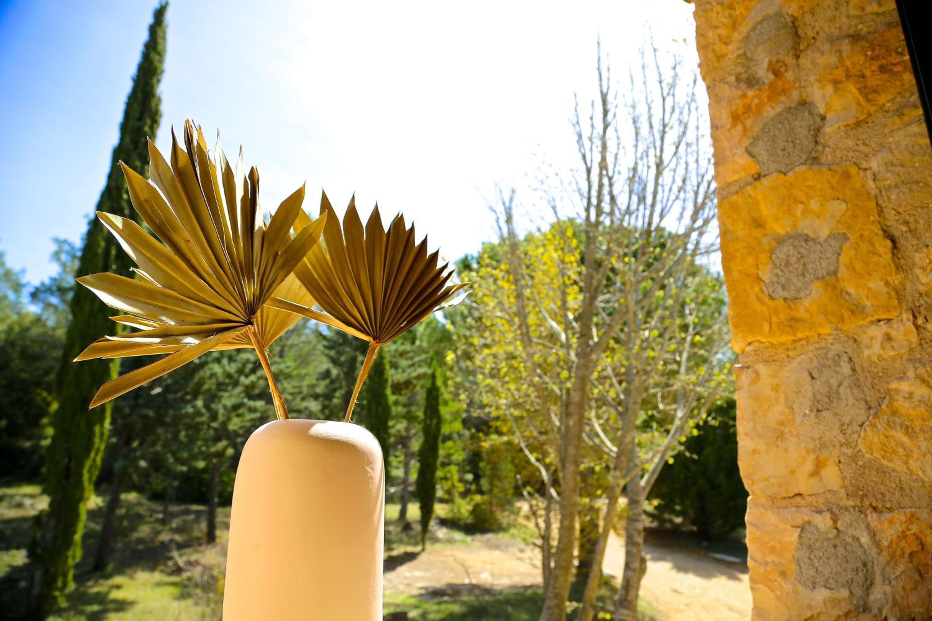Domaine de la Xavolière, photo 58